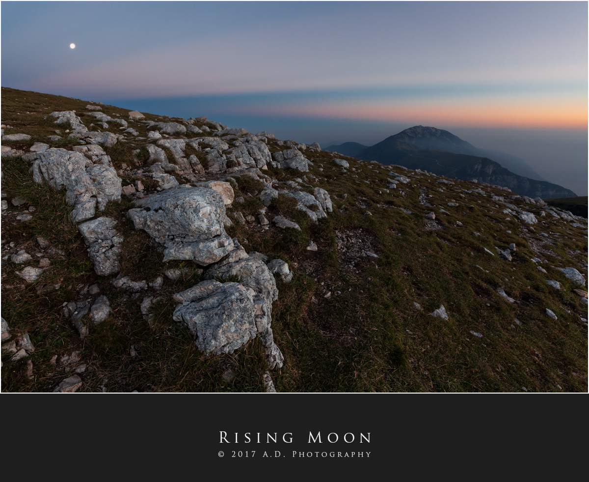 Rising Moon