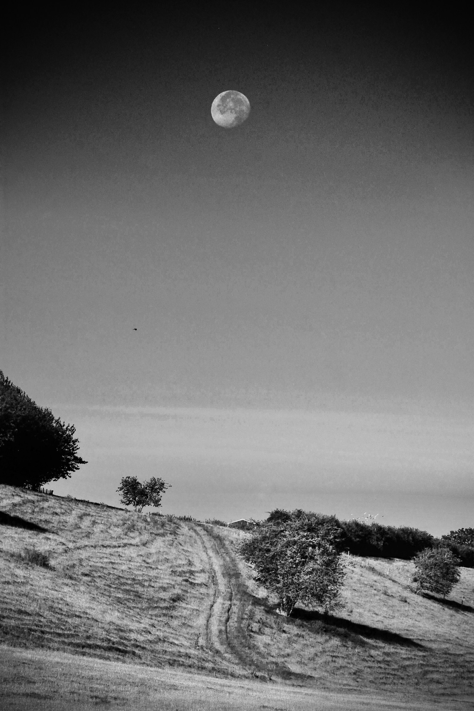 Moon This Morning Over an Ancient Landscape