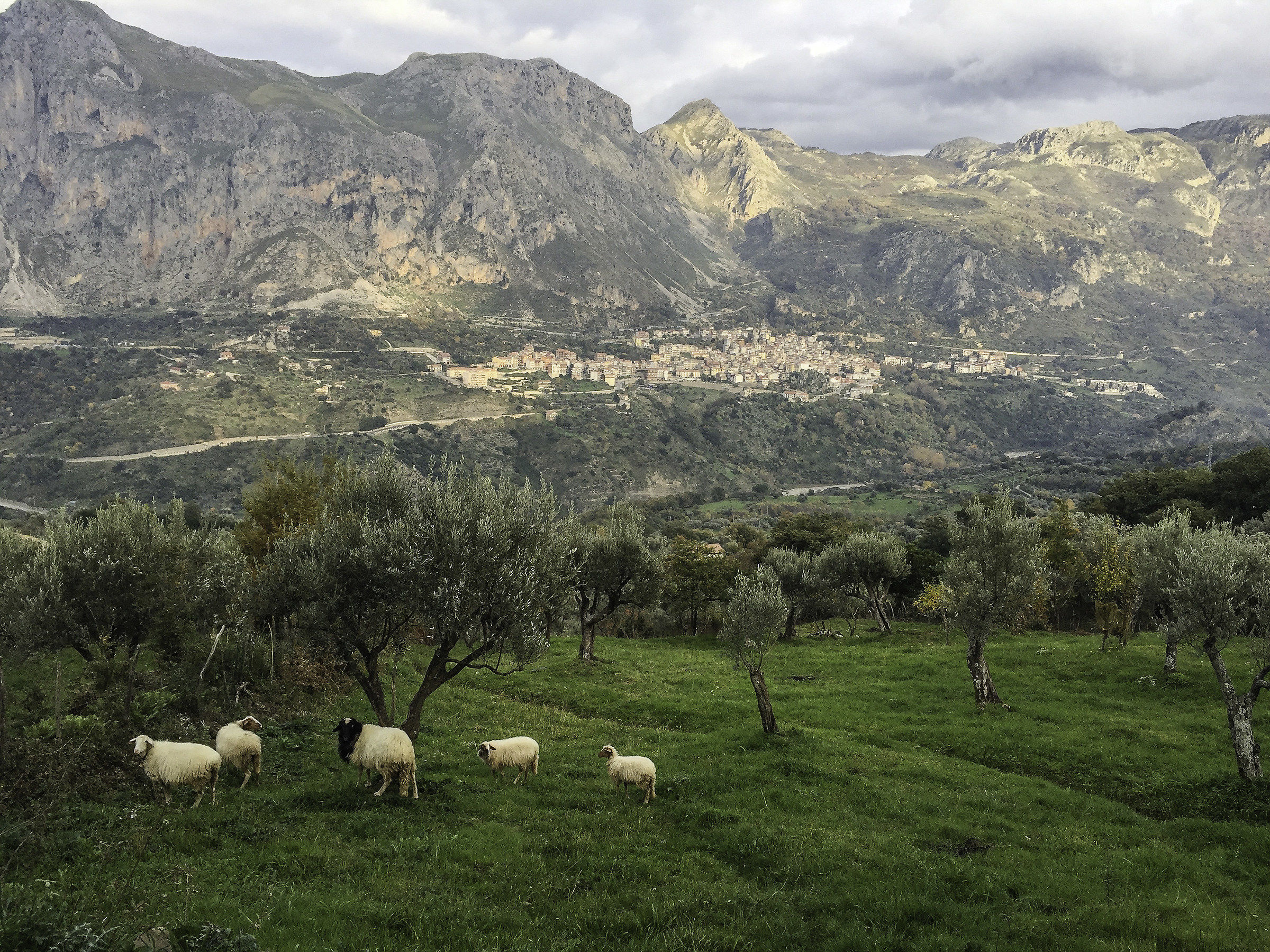 Monti Nebrodi - Sicilia