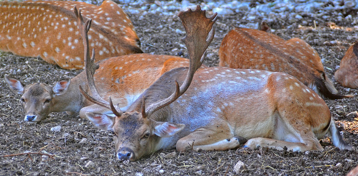 After lunch a little 'Relax .......