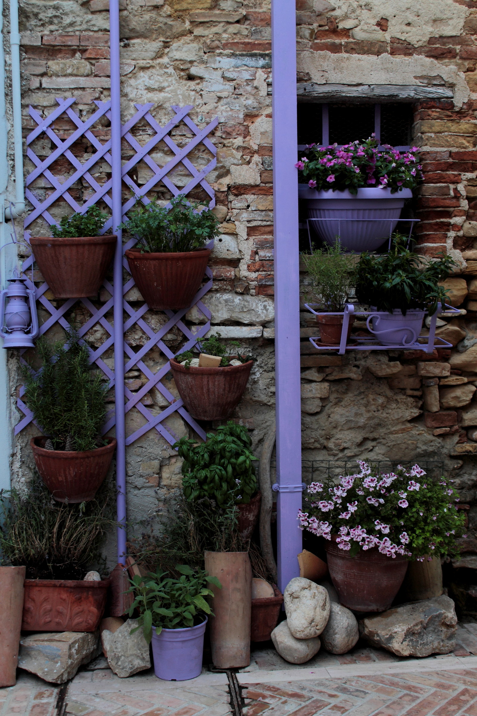 Composizione in viola