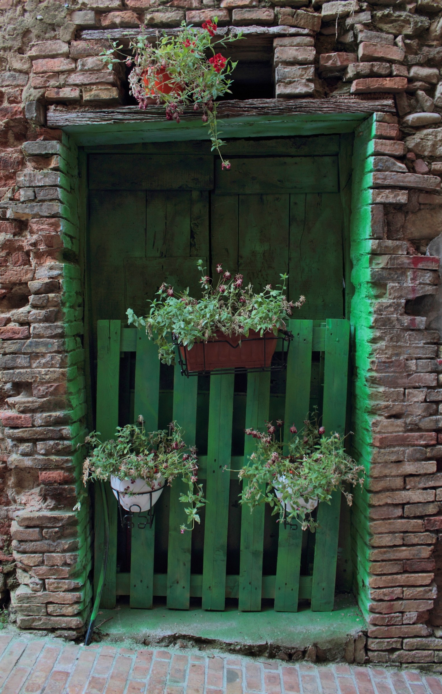 Composizione in verde