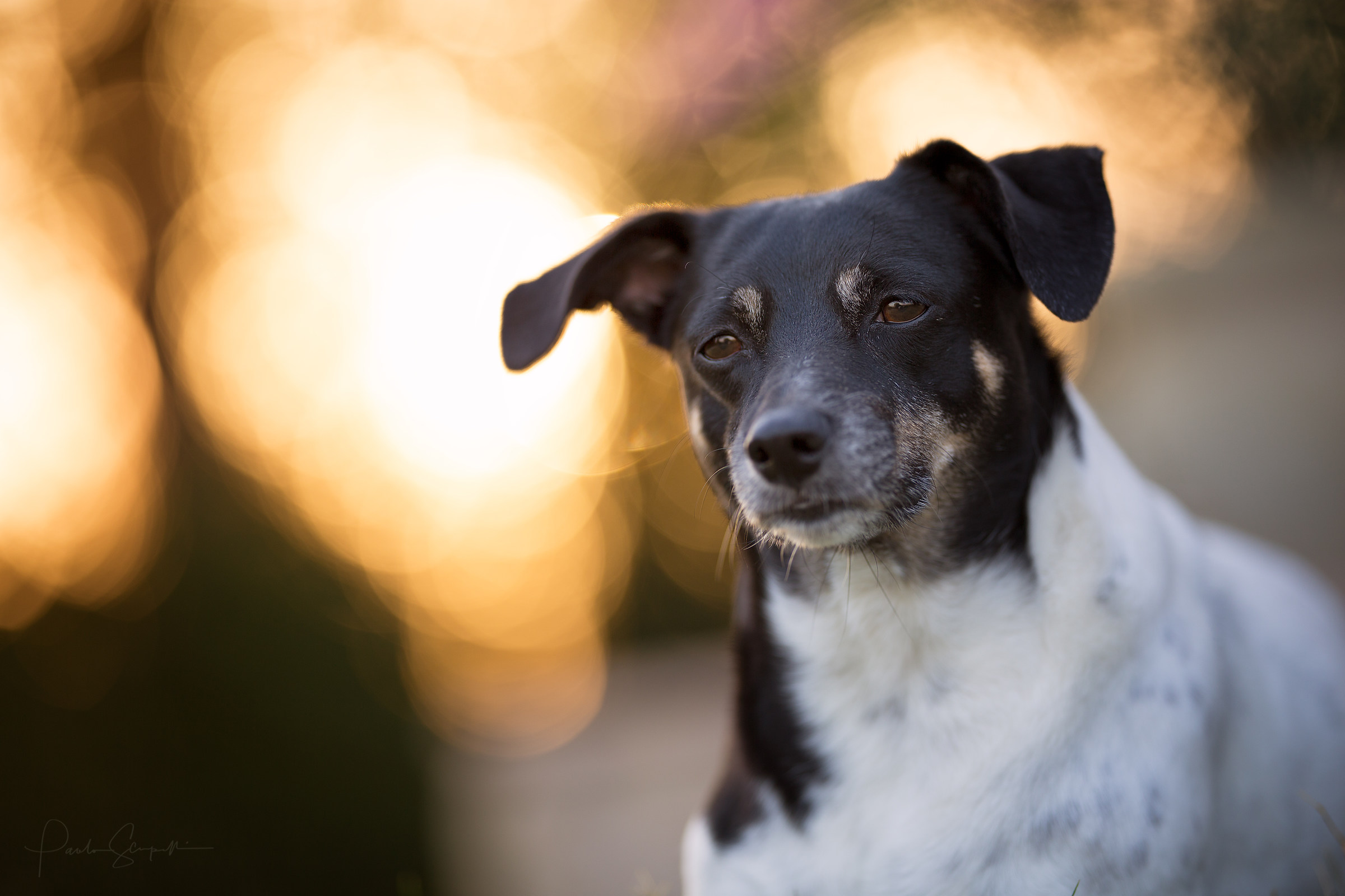 Testing the 135 1.8 Art