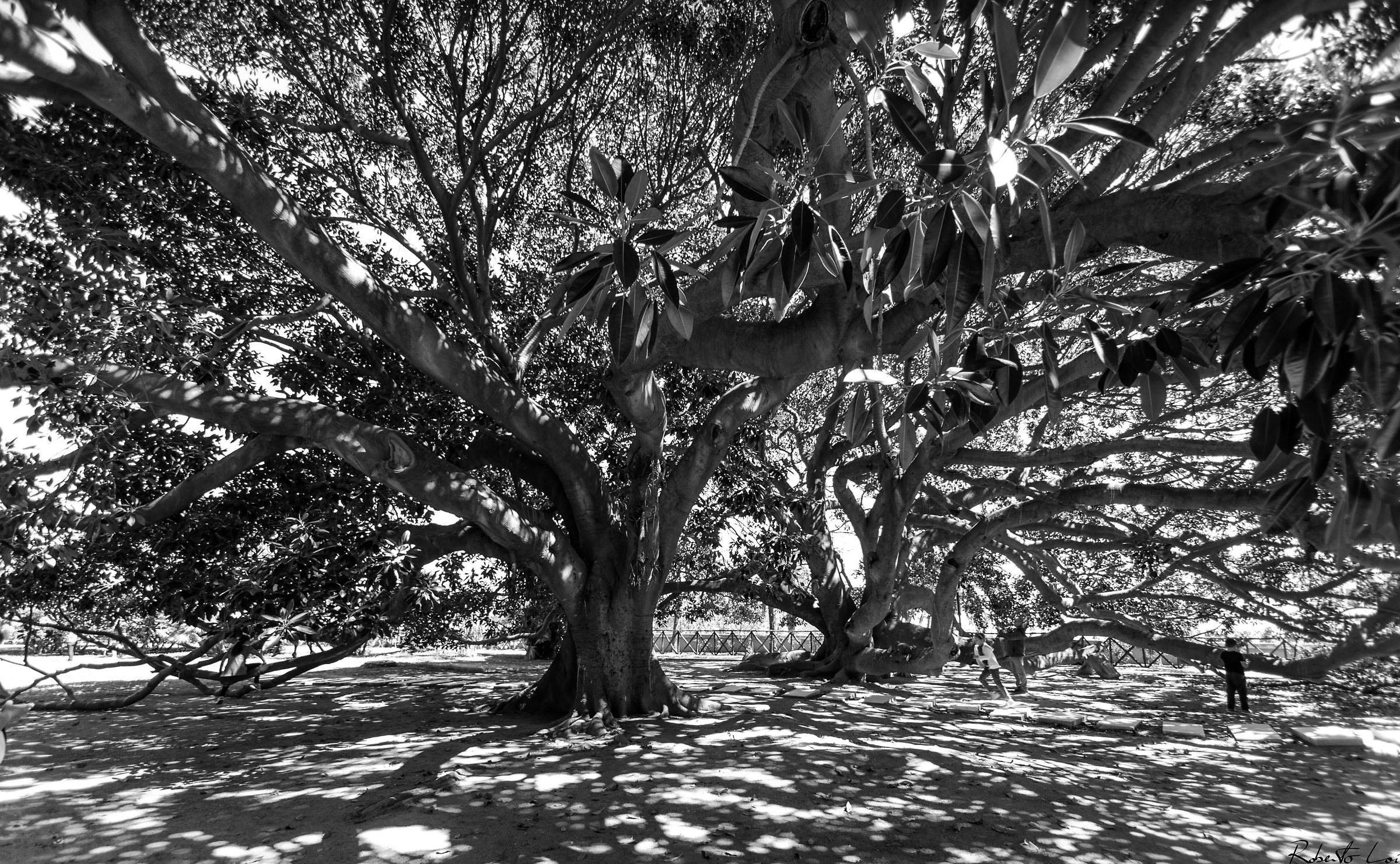 Cagliari - Public gardens