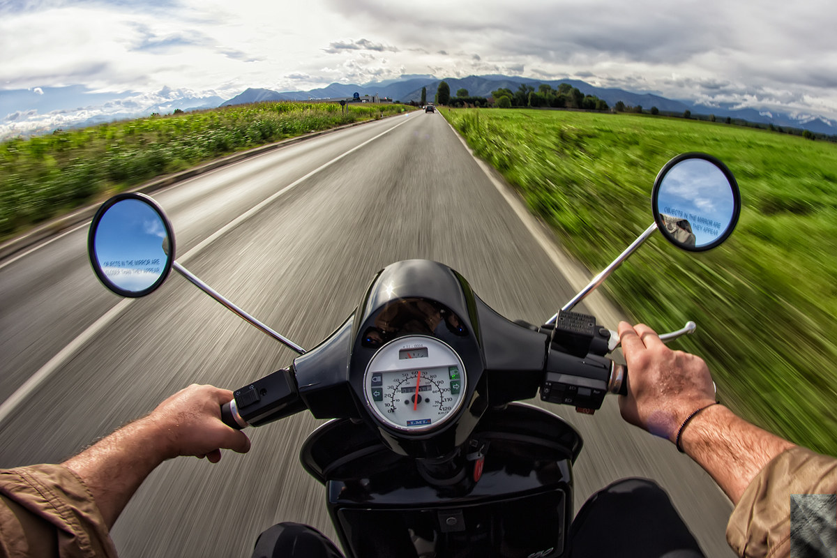 And an wasp will take you out of town !!