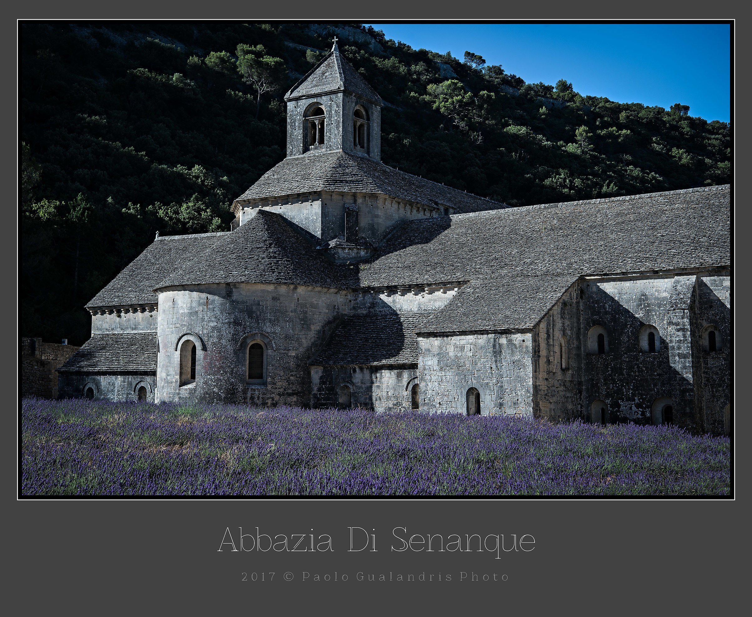 Abbazia Di Senanque