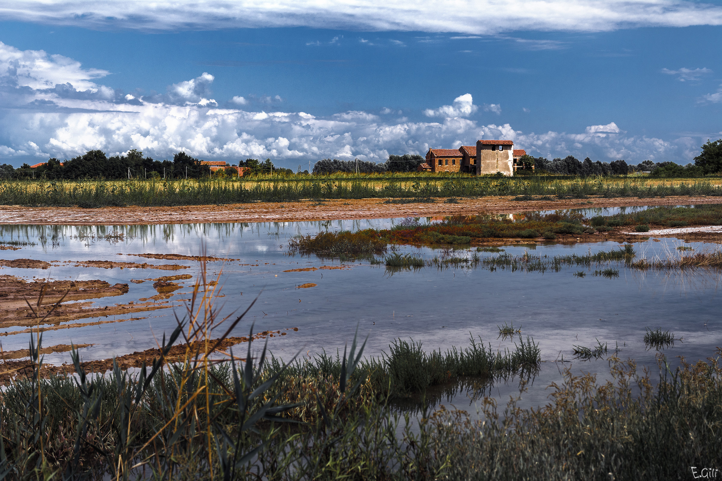 Campagna e pozzanghera