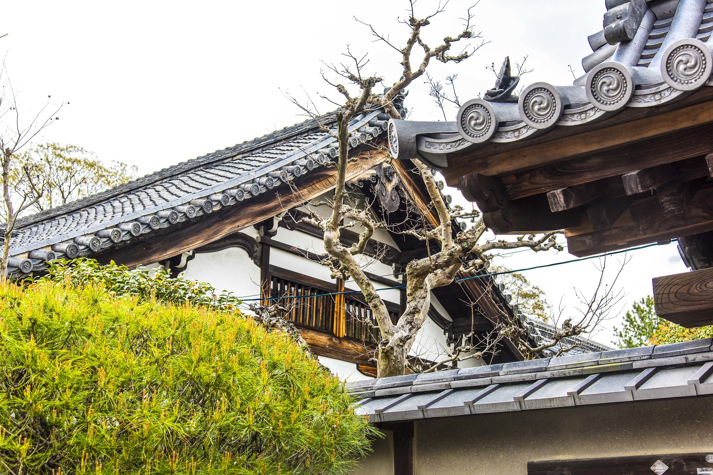 Kyoto , Gion , quartiere delle geishe