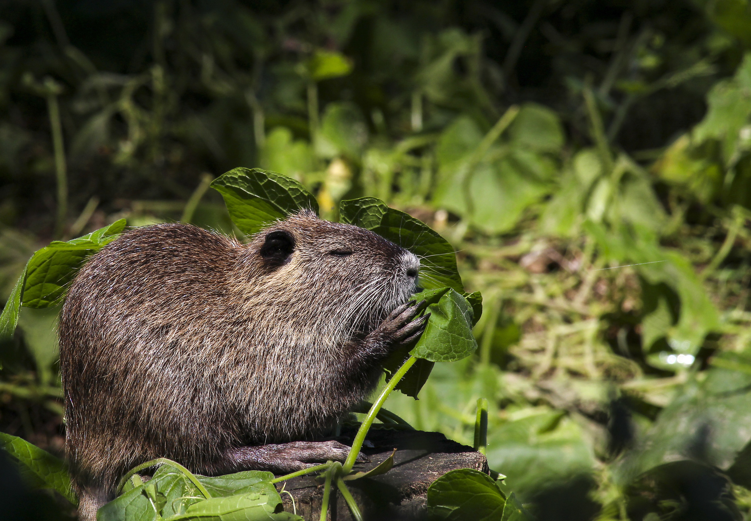 The place you go, the nutrition you find!