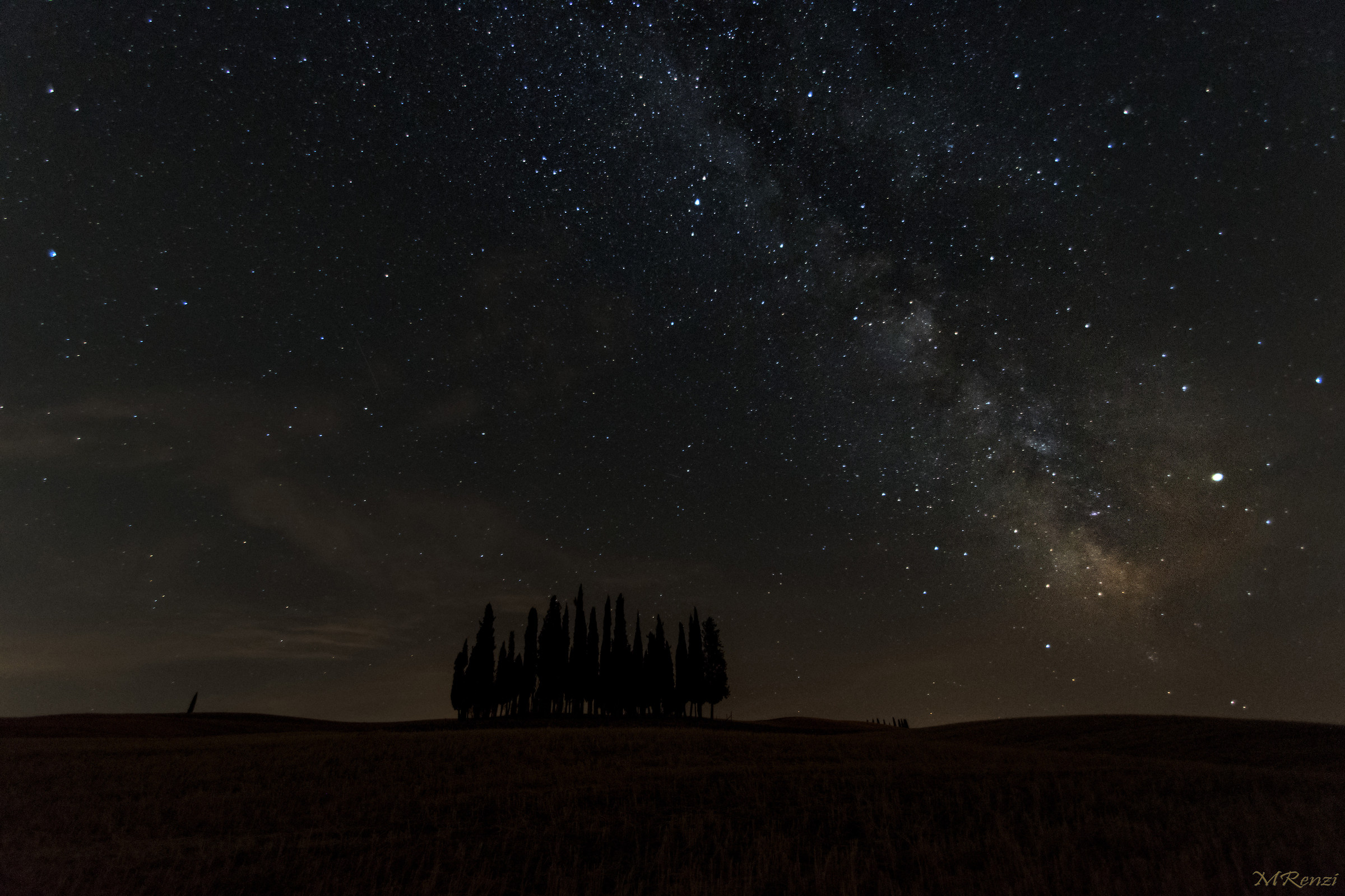 Cipressi Val d'Orcia