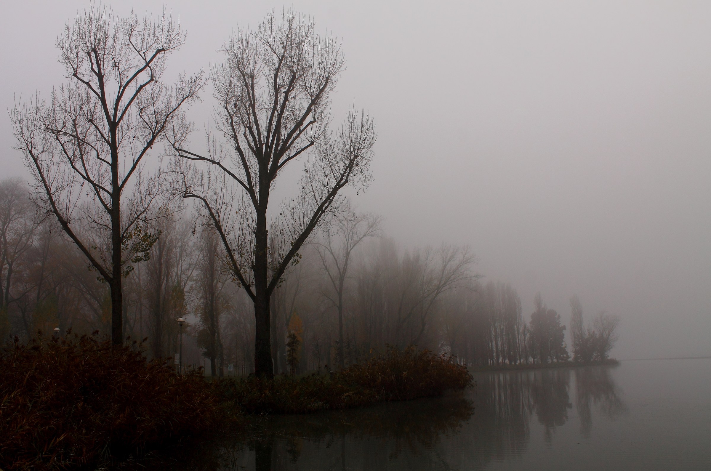 Belfiore memories ...