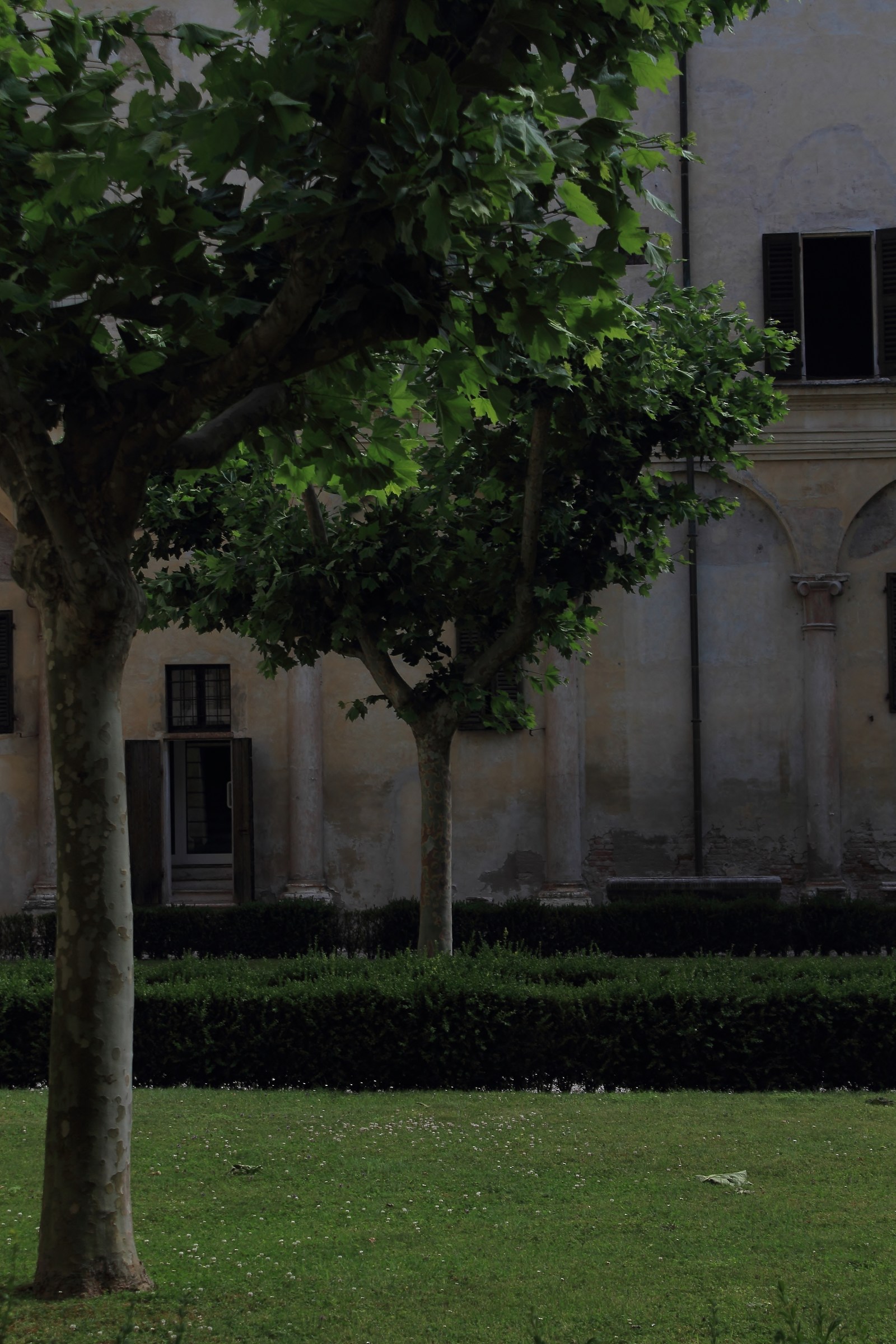 Palazzo Ducale dettaglio