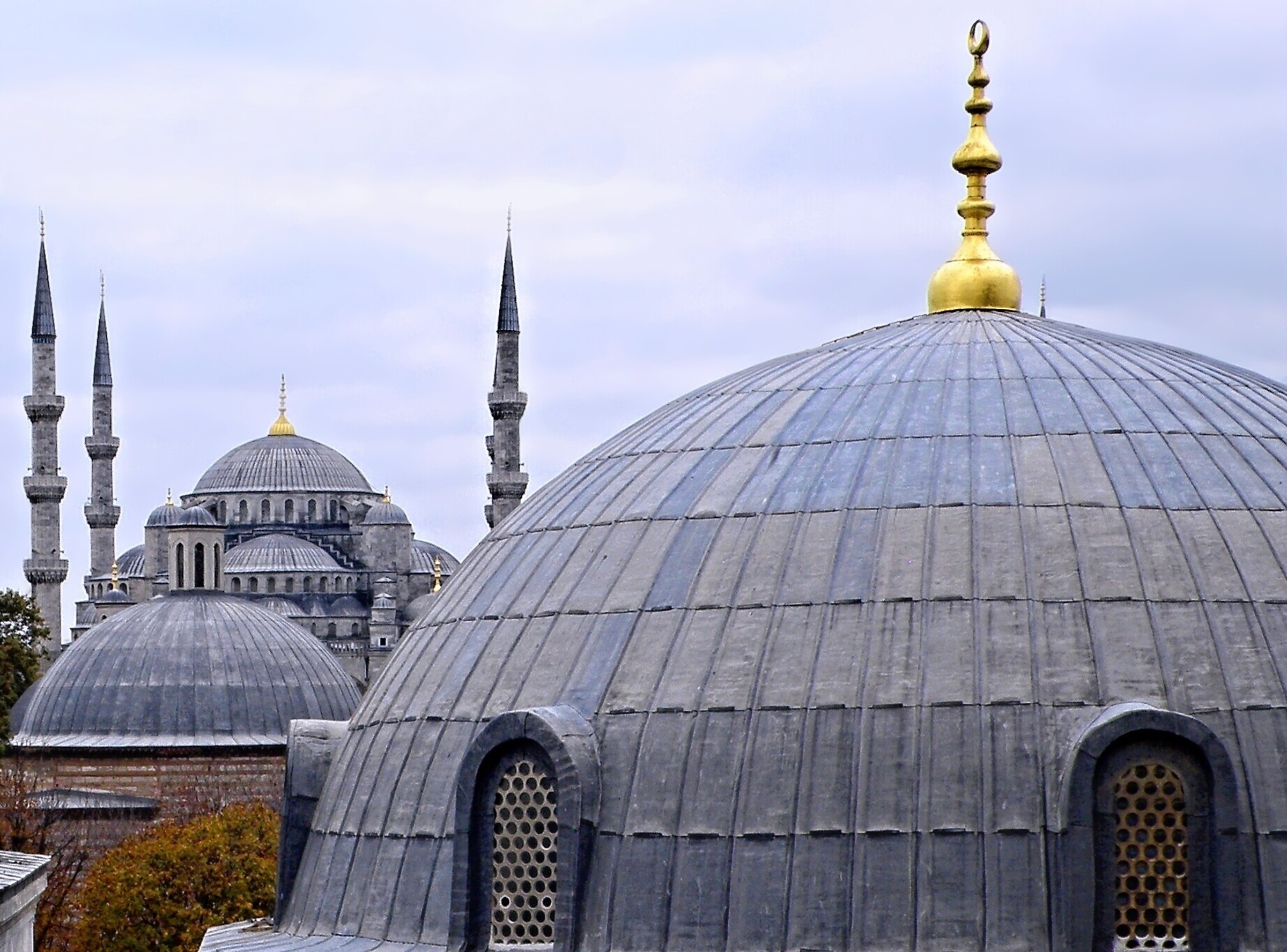 ... e volare sopra i tetti delle città ..