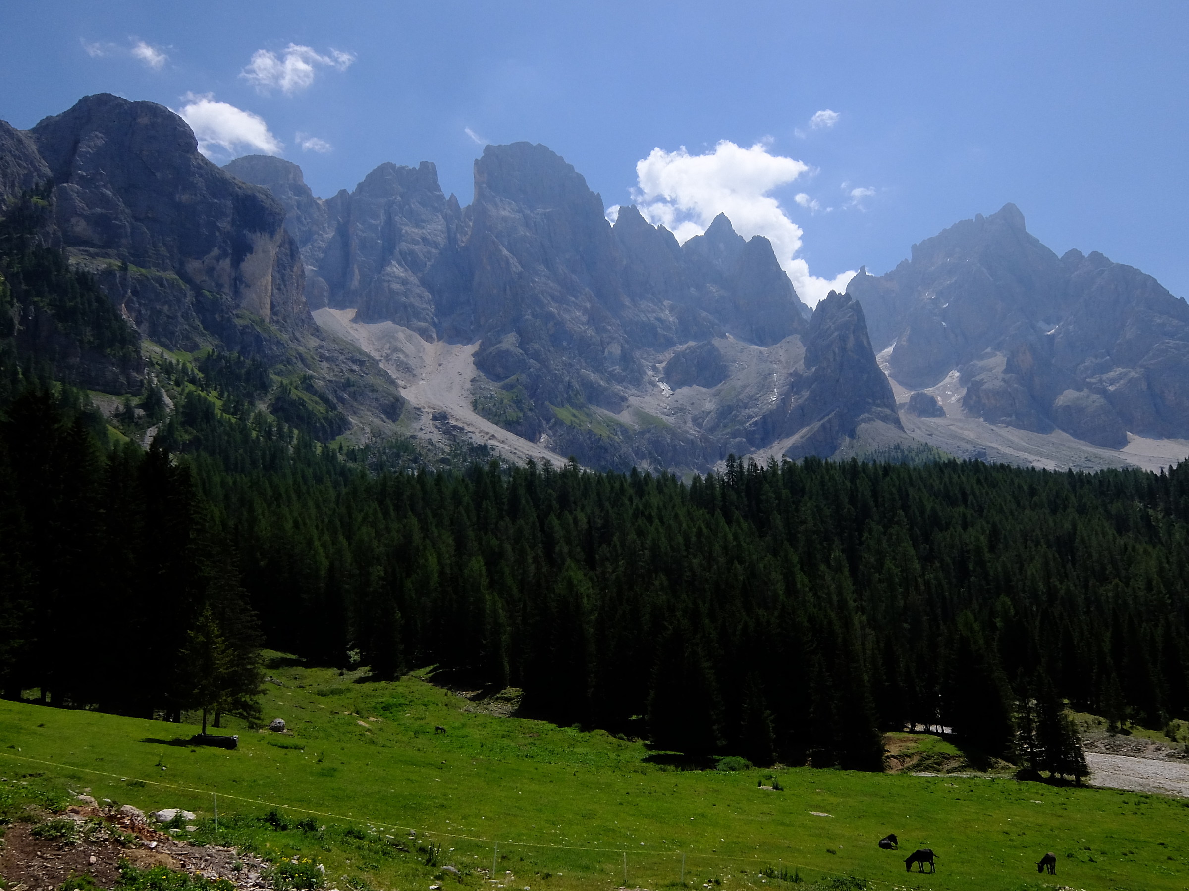 Dolomite Visions - Pale of Saint Martin