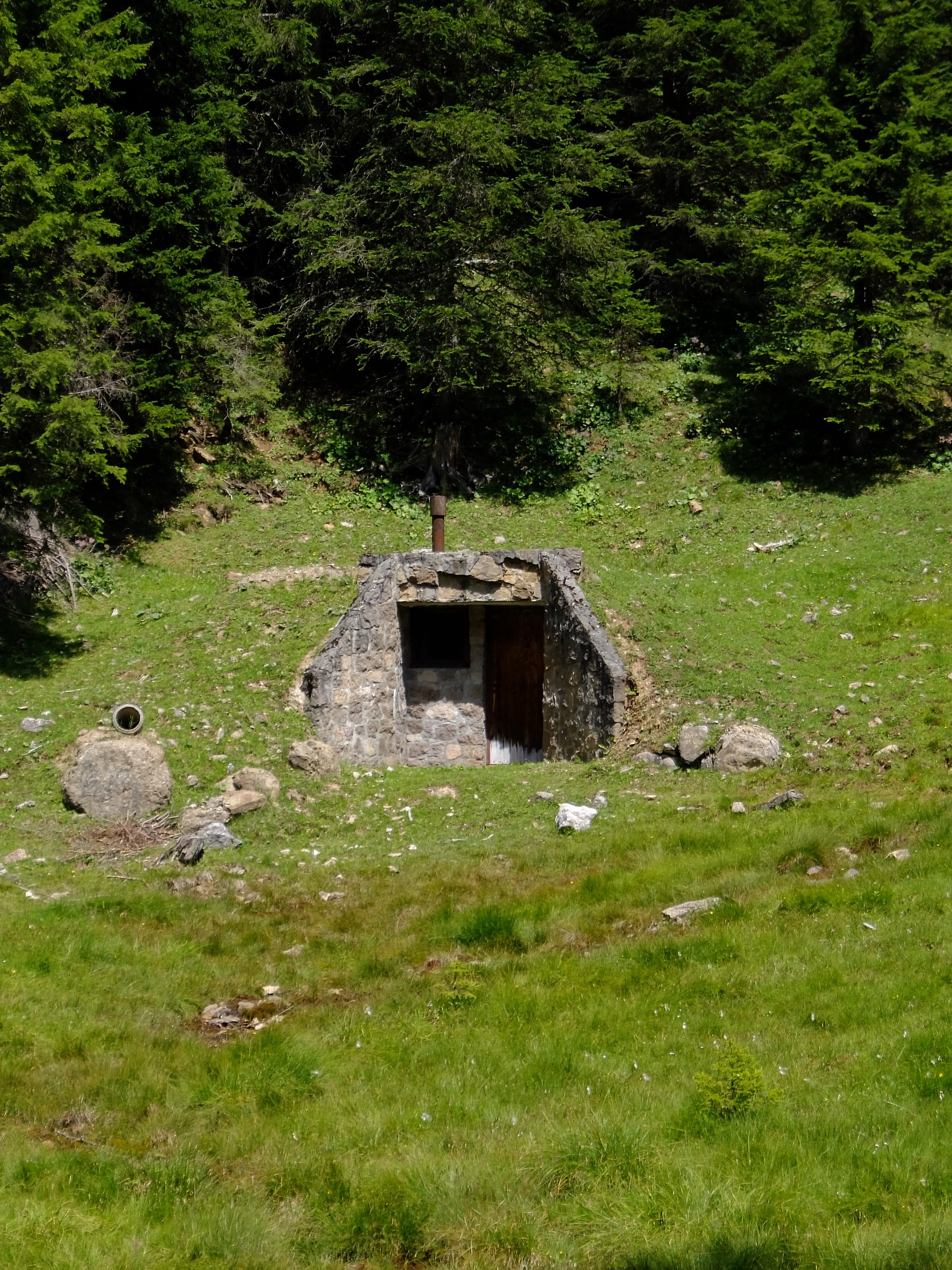 Remembering the Great War