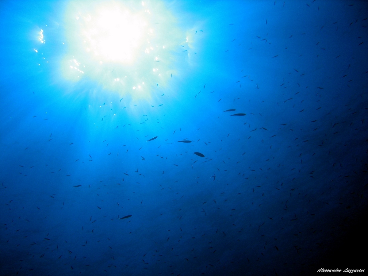 Il sole in fondo al mare