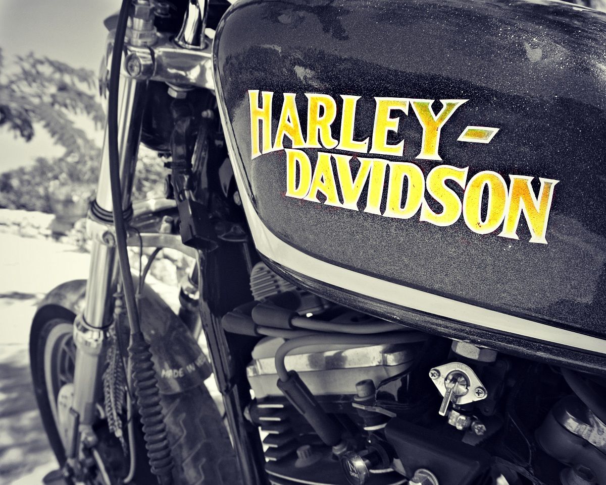 Harley