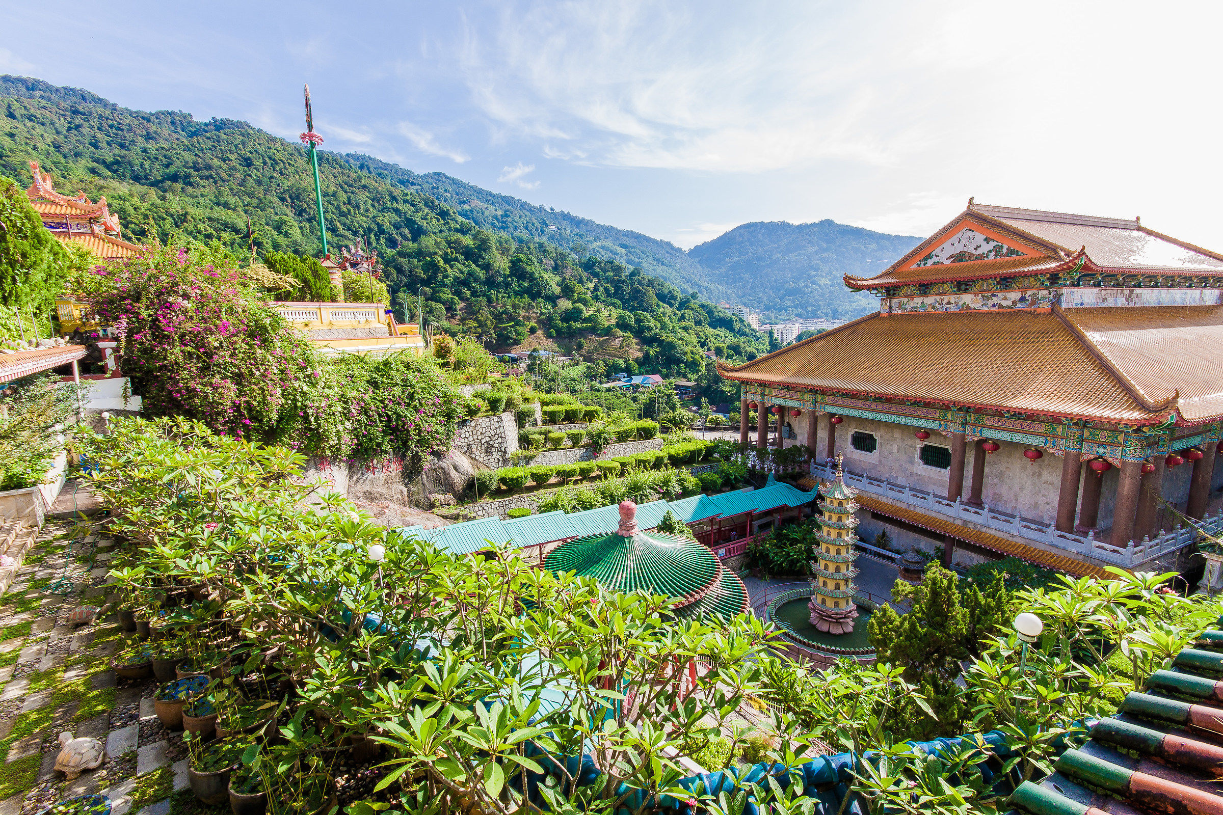 A face of tradition.