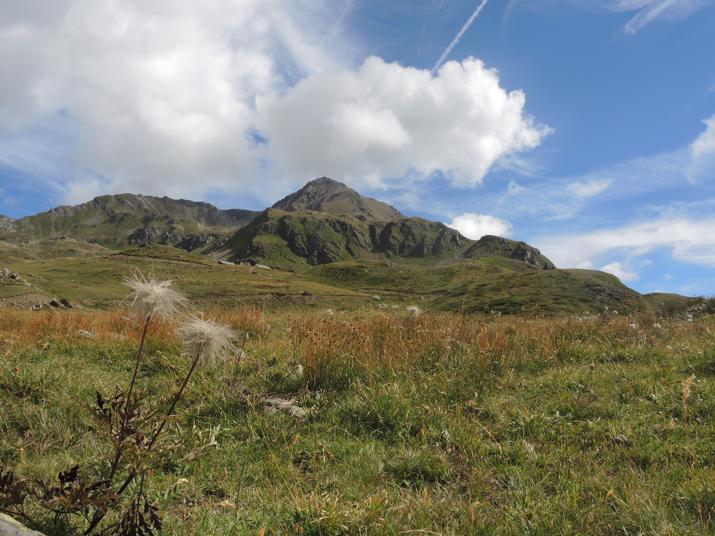 Anemones towards Fallega Refuge