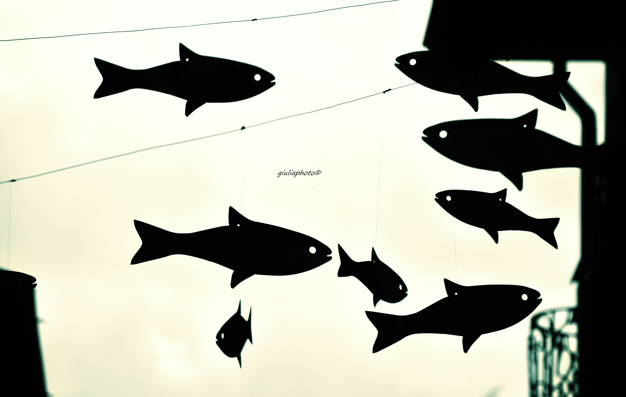 Event building installations