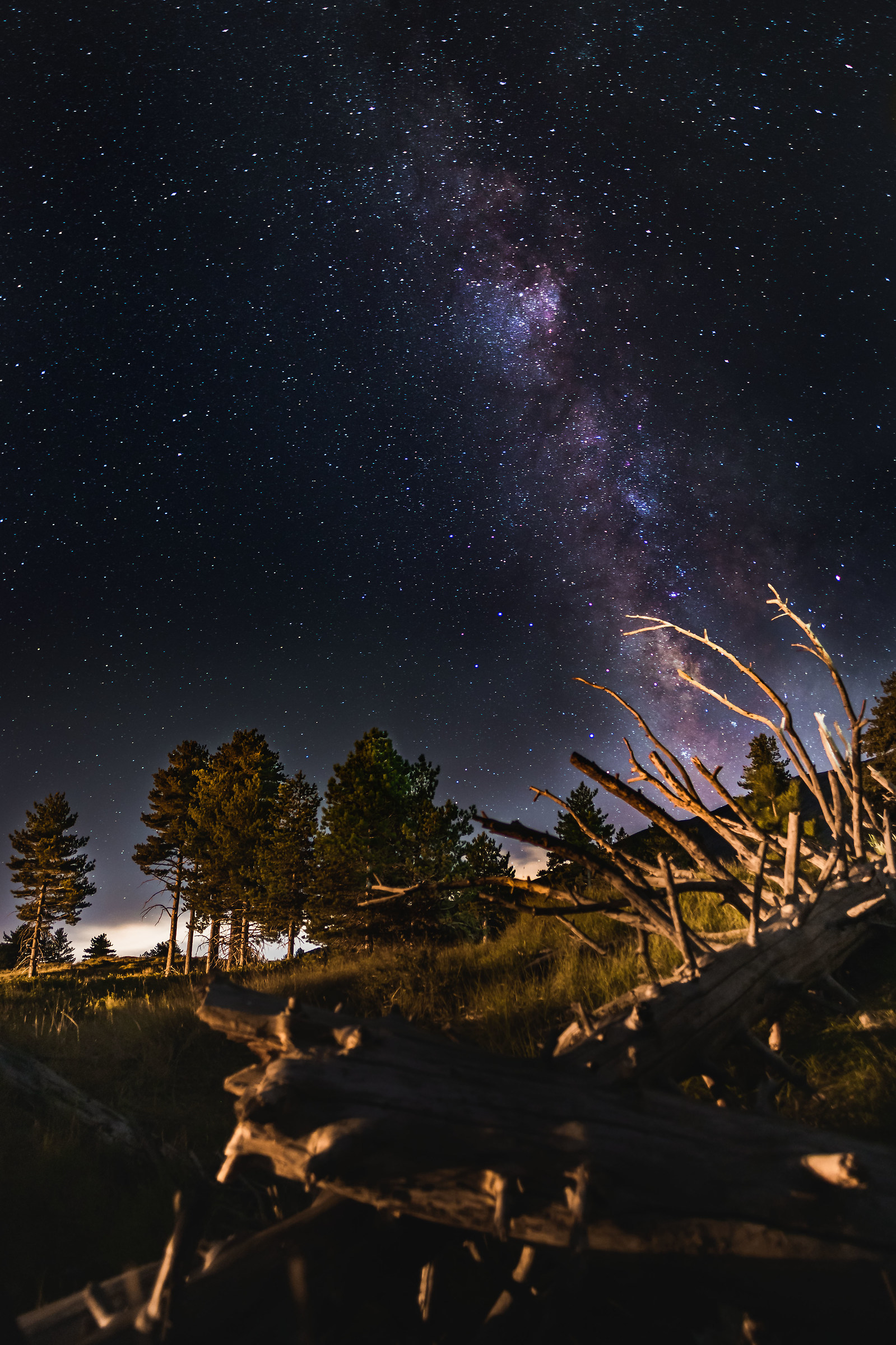 Via Lattea sul versante Nord dell'Etna.