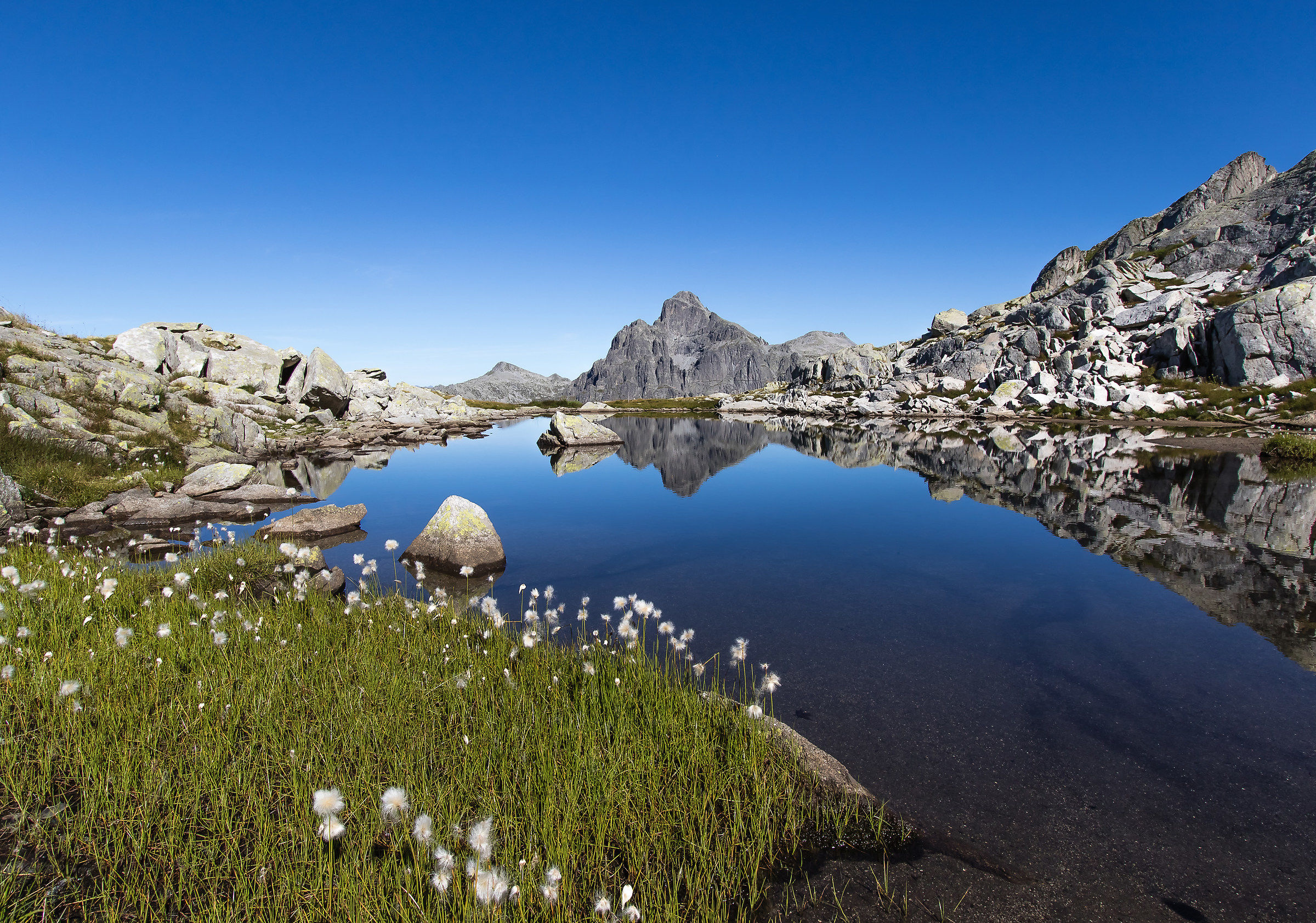 Il Blumone si specchia