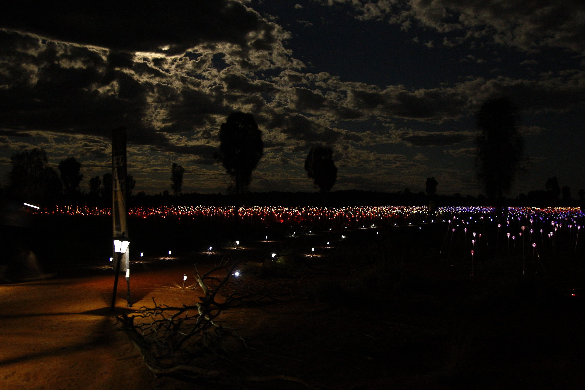 Field of Lights - Uluru