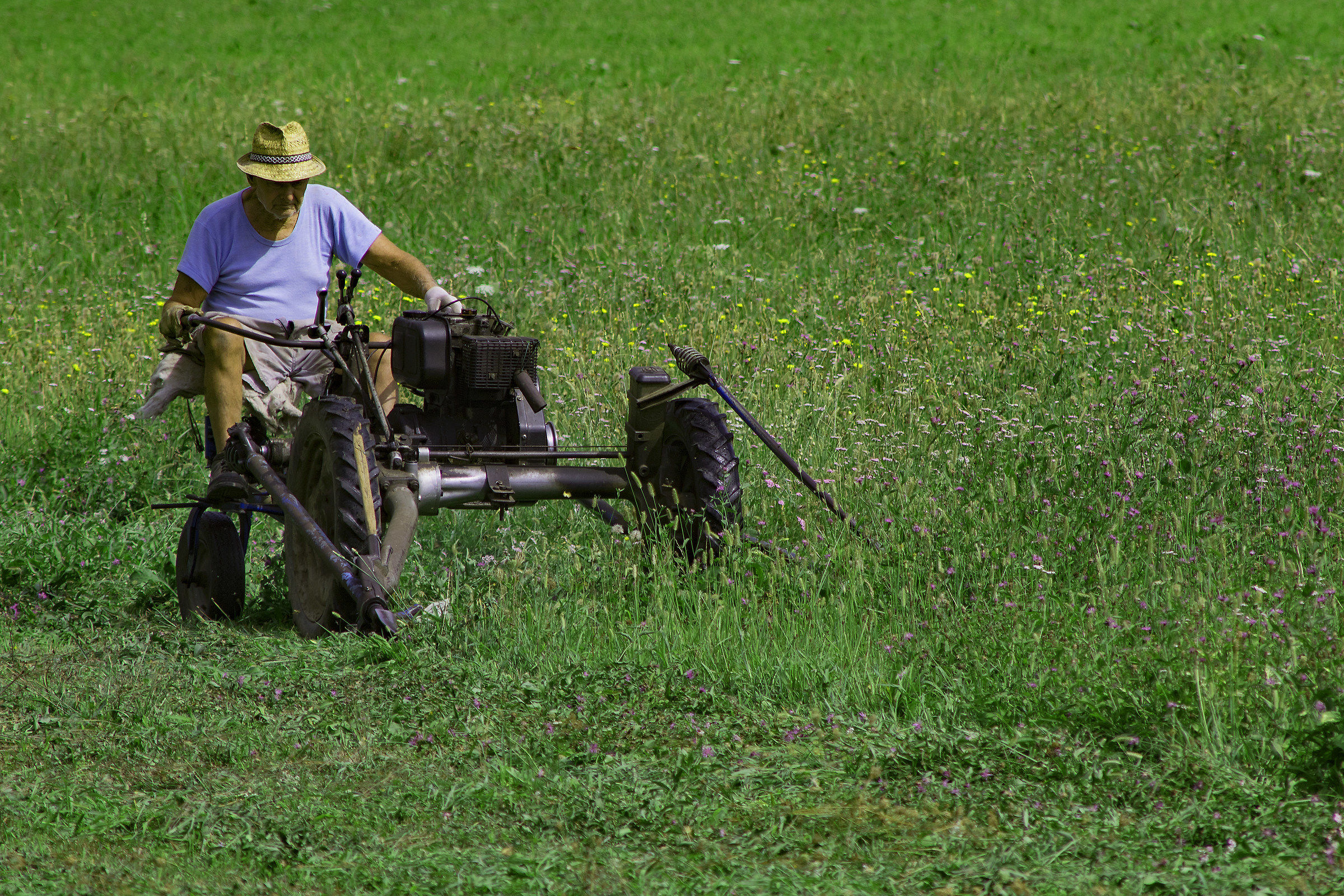 The man or the BCS is older