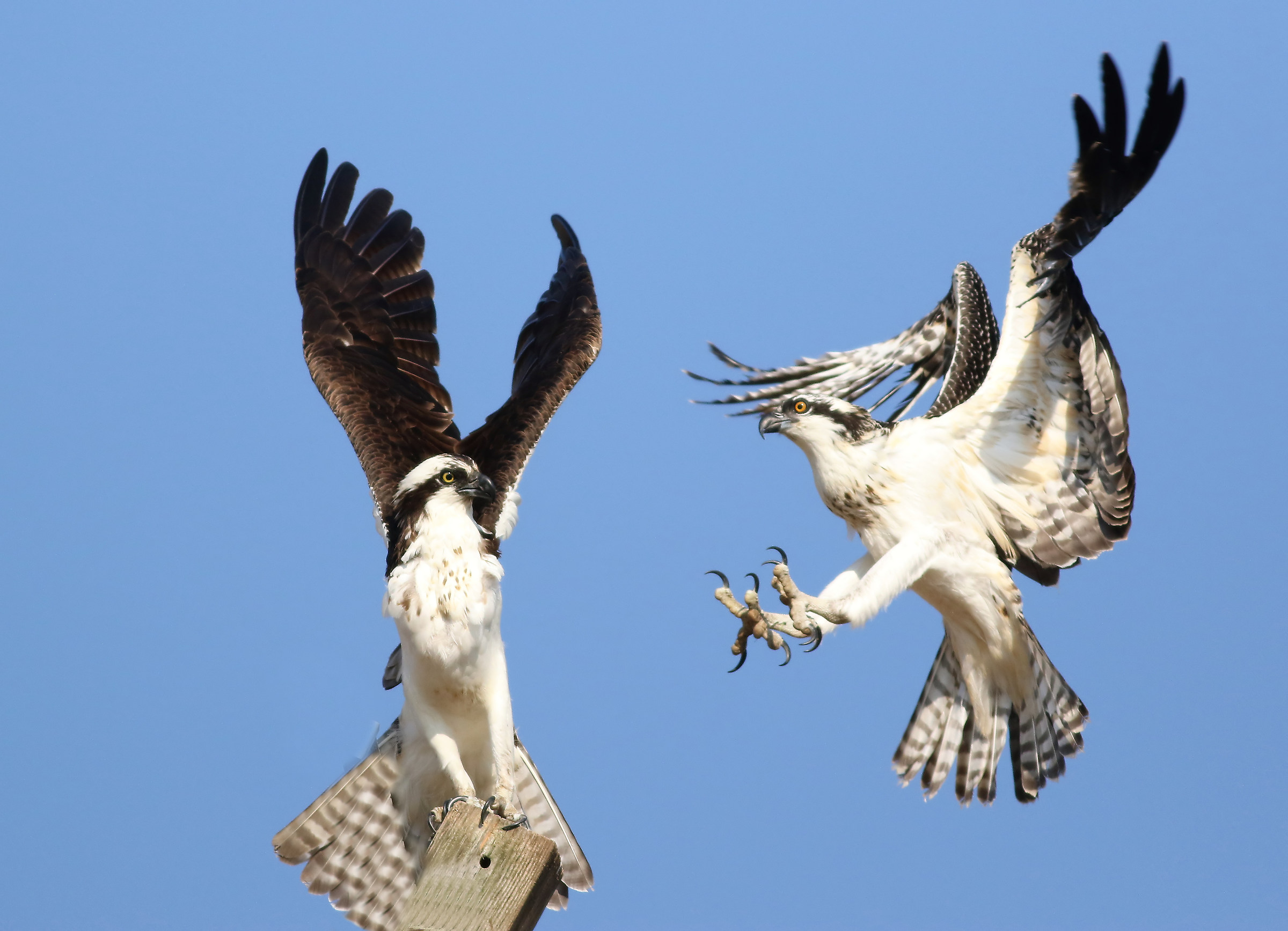 Bambino indesiderato