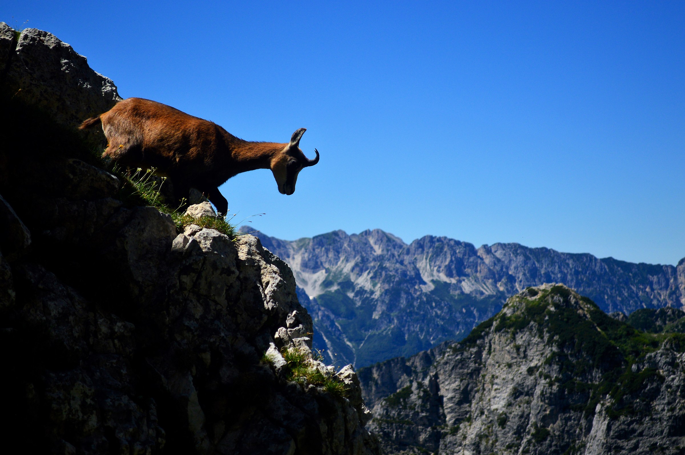 Il re delle dolomiti