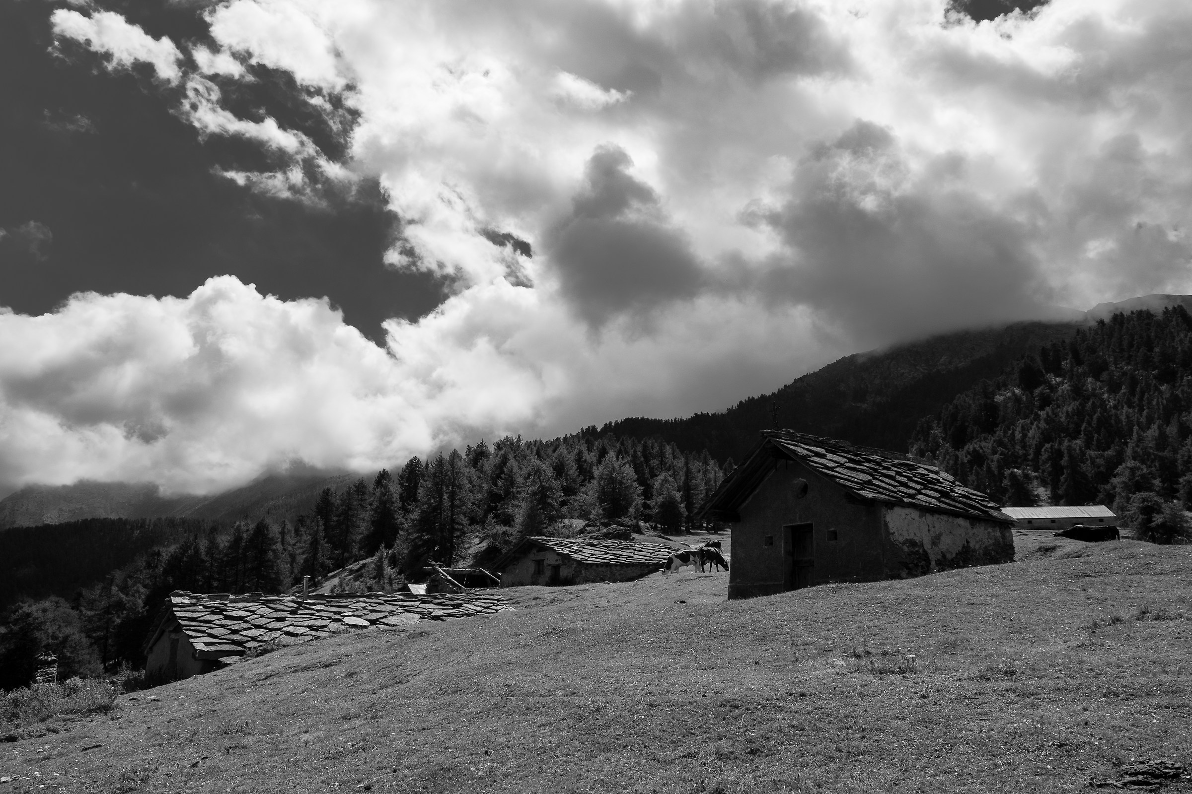 Soon to the frais - val of susa 2