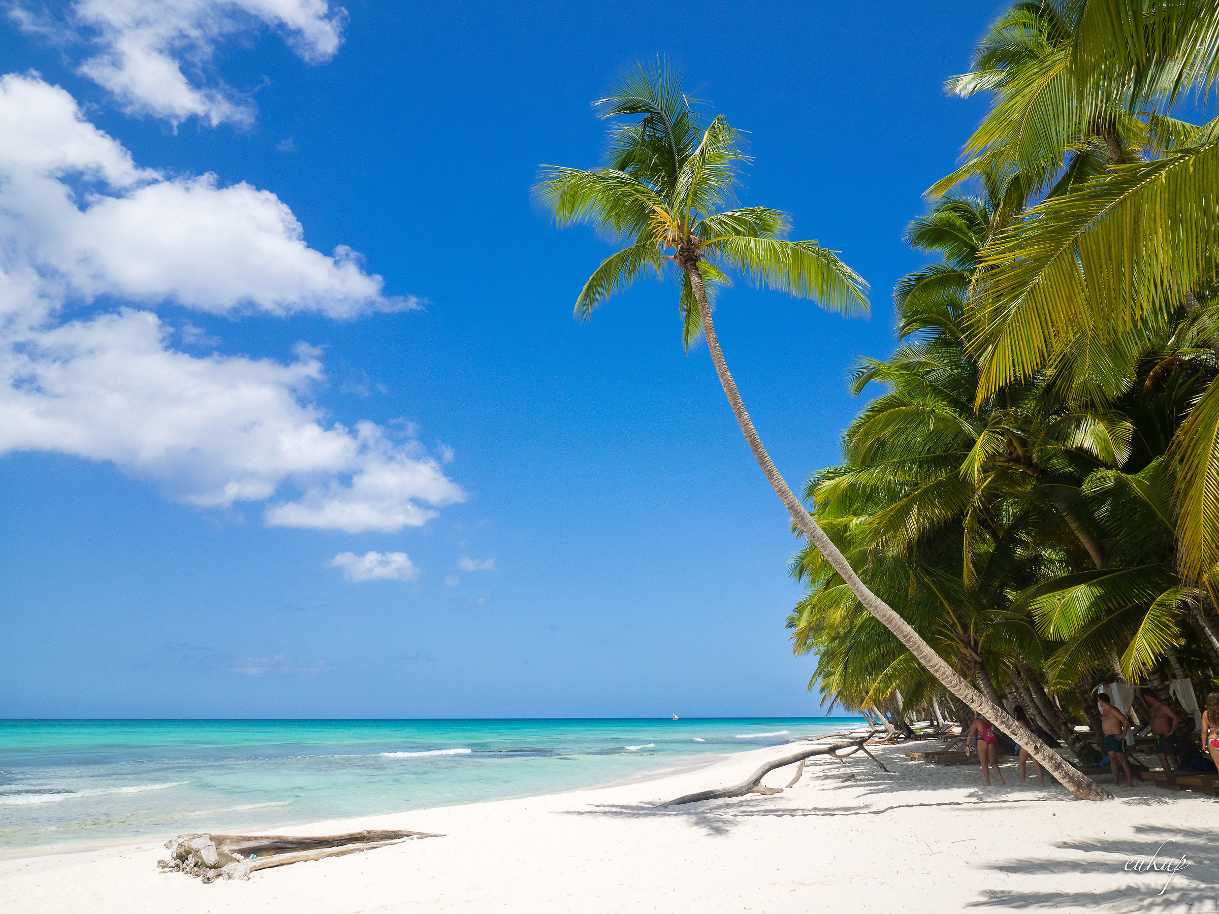 A corner of paradise