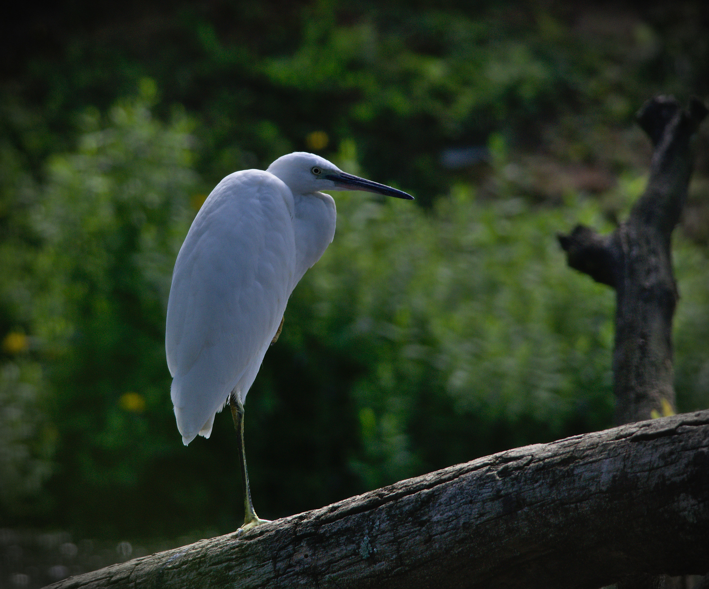 Look, there is no hurry ...