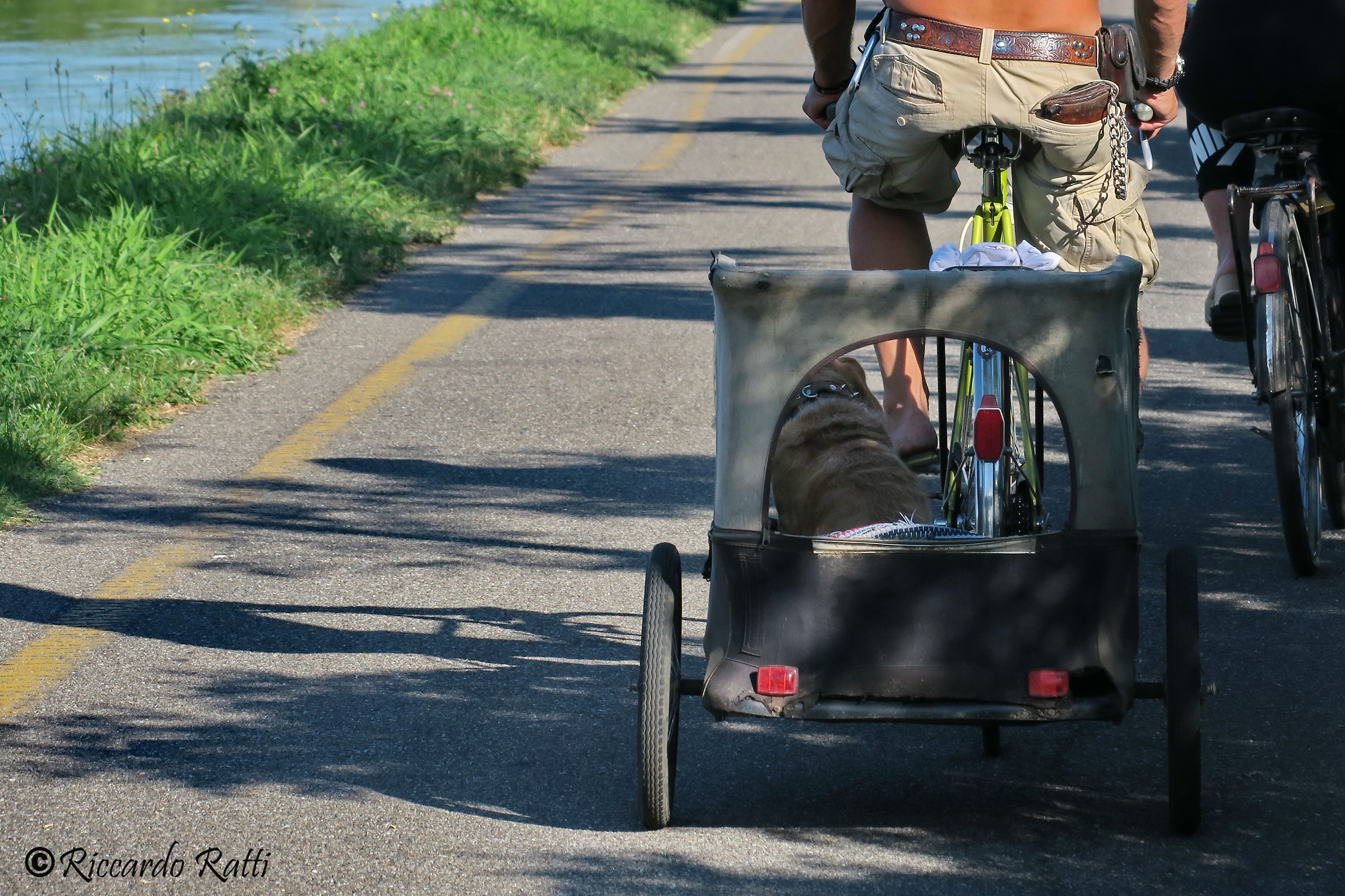 Times of crisis? On the leash ... the wallet!