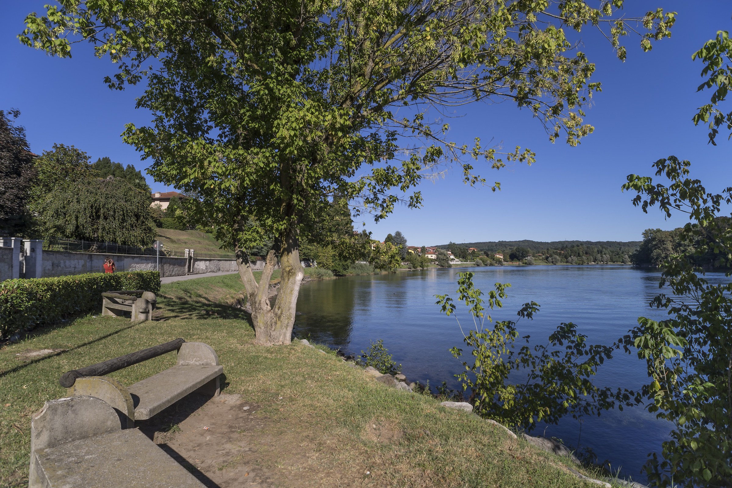 Alzaia - Sabato 12 agosto 2017, 17:40