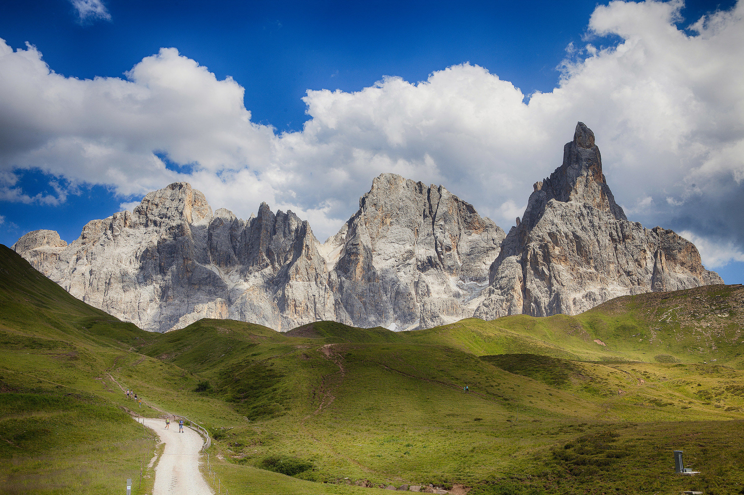 Pale di San Martino 1