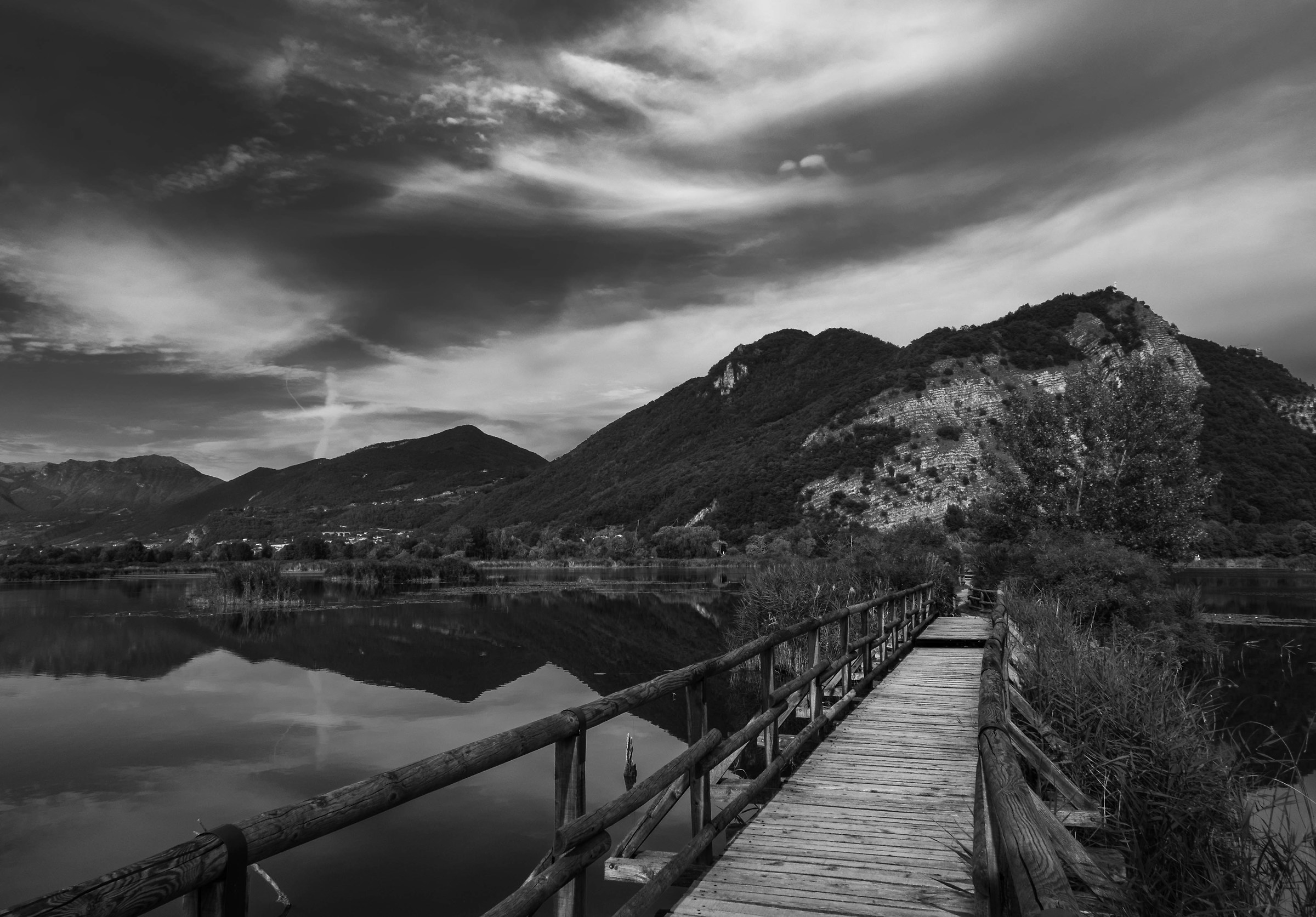 Tortoises of Sebino - Lake Iseo