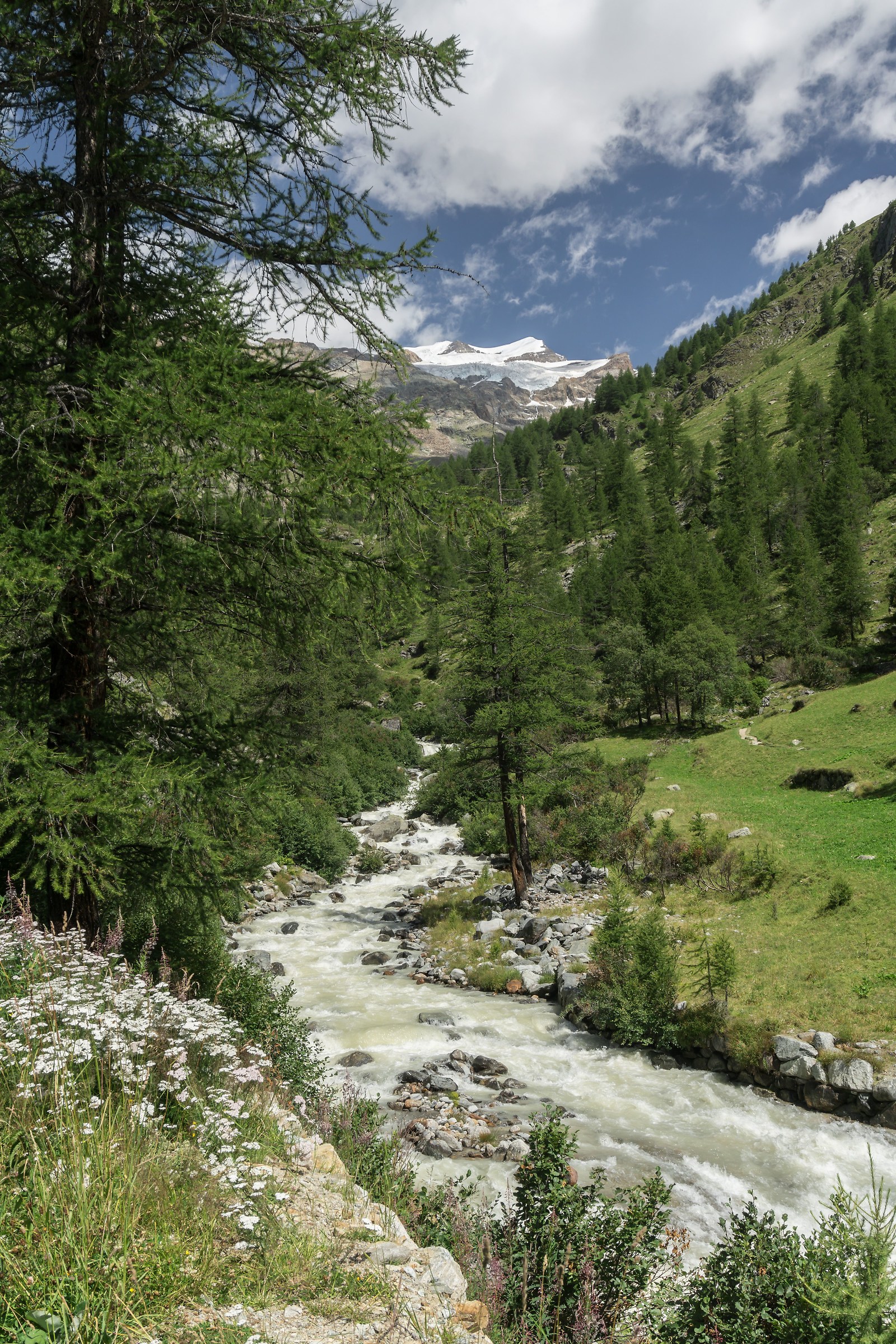 Massiccio del Monte Rosa visto da Staffal (Gressoney) 1