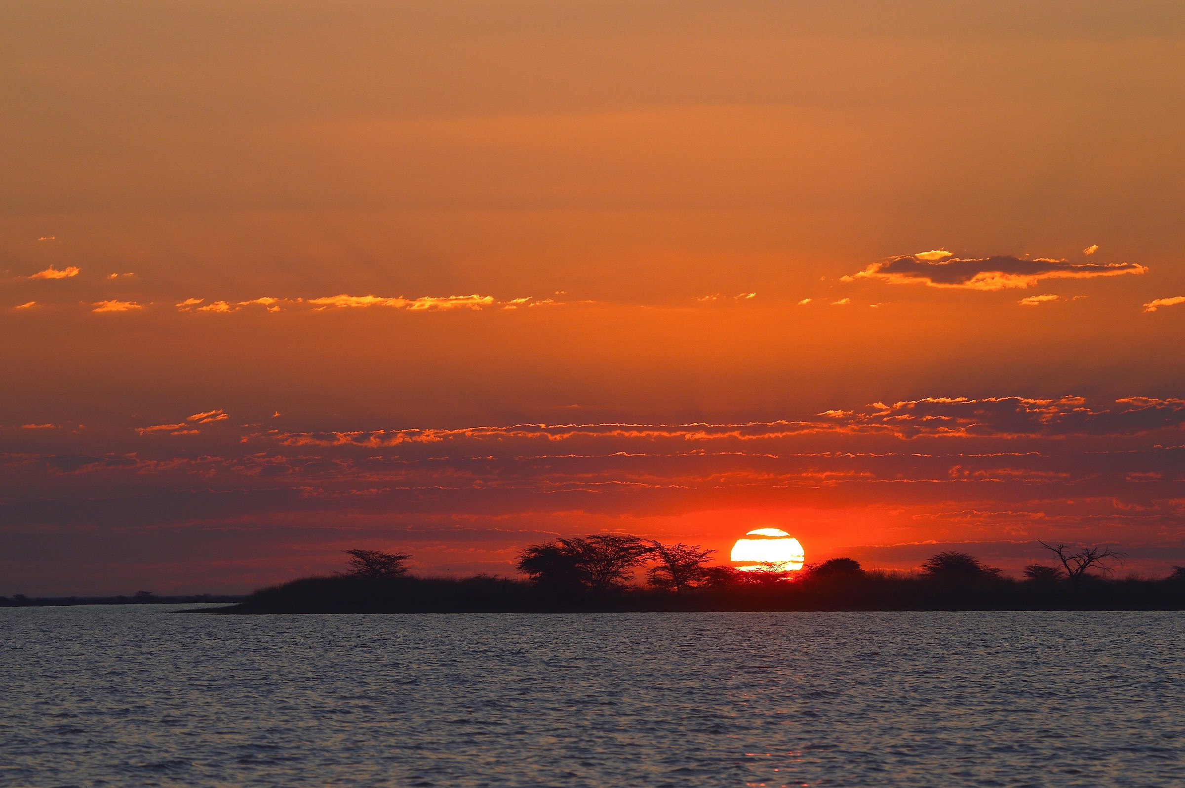 Inizio del Mal d'Africa....