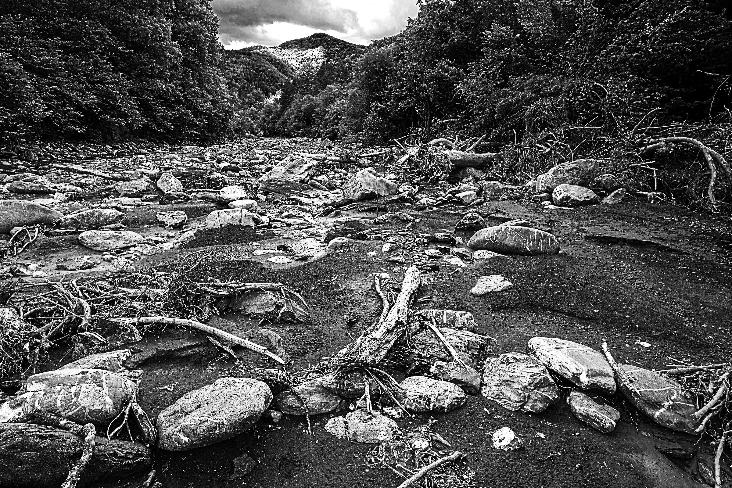 La valle del Tanarello (im)