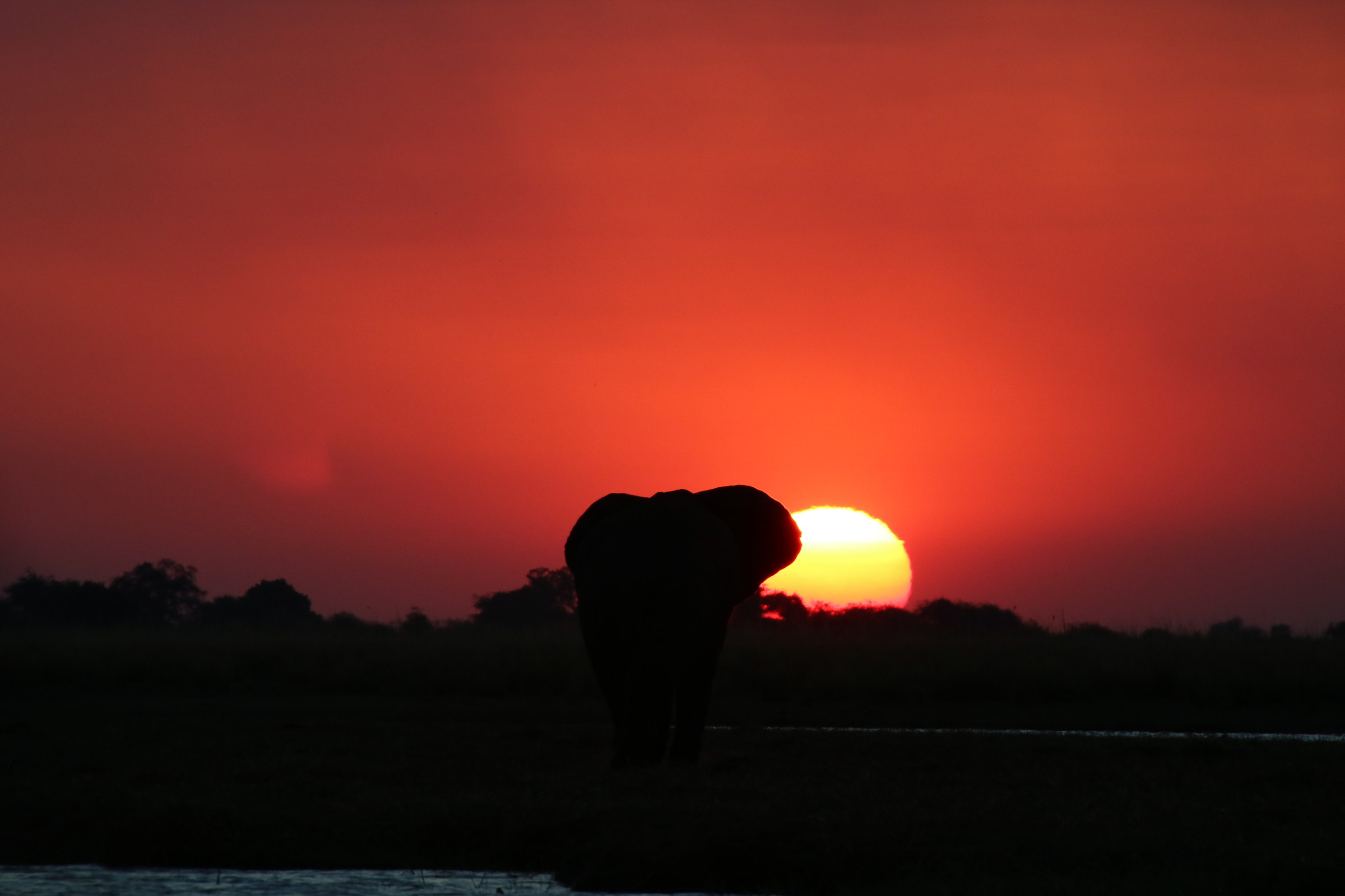 Tramonto nella savana