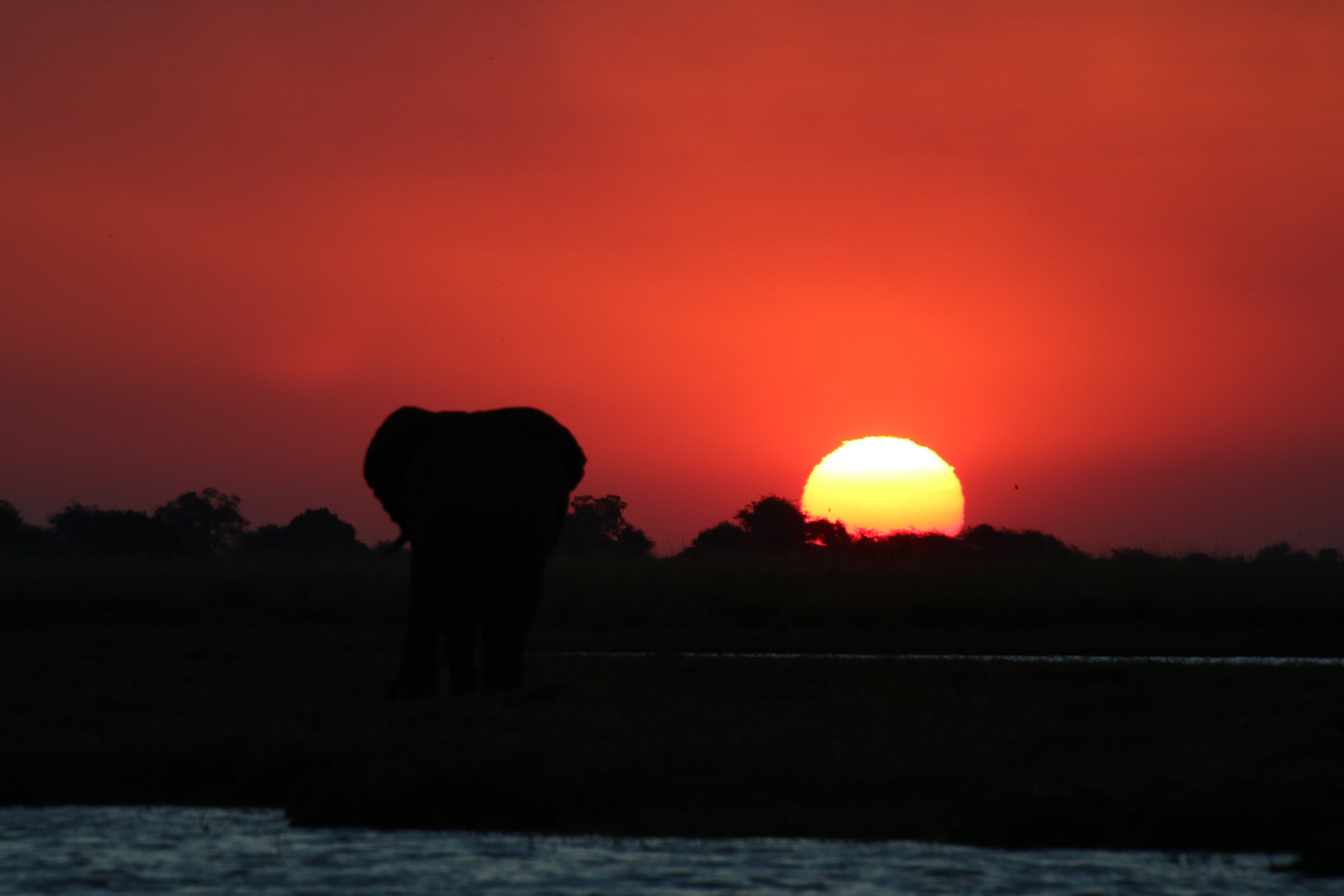 Tramonto nella savana 2