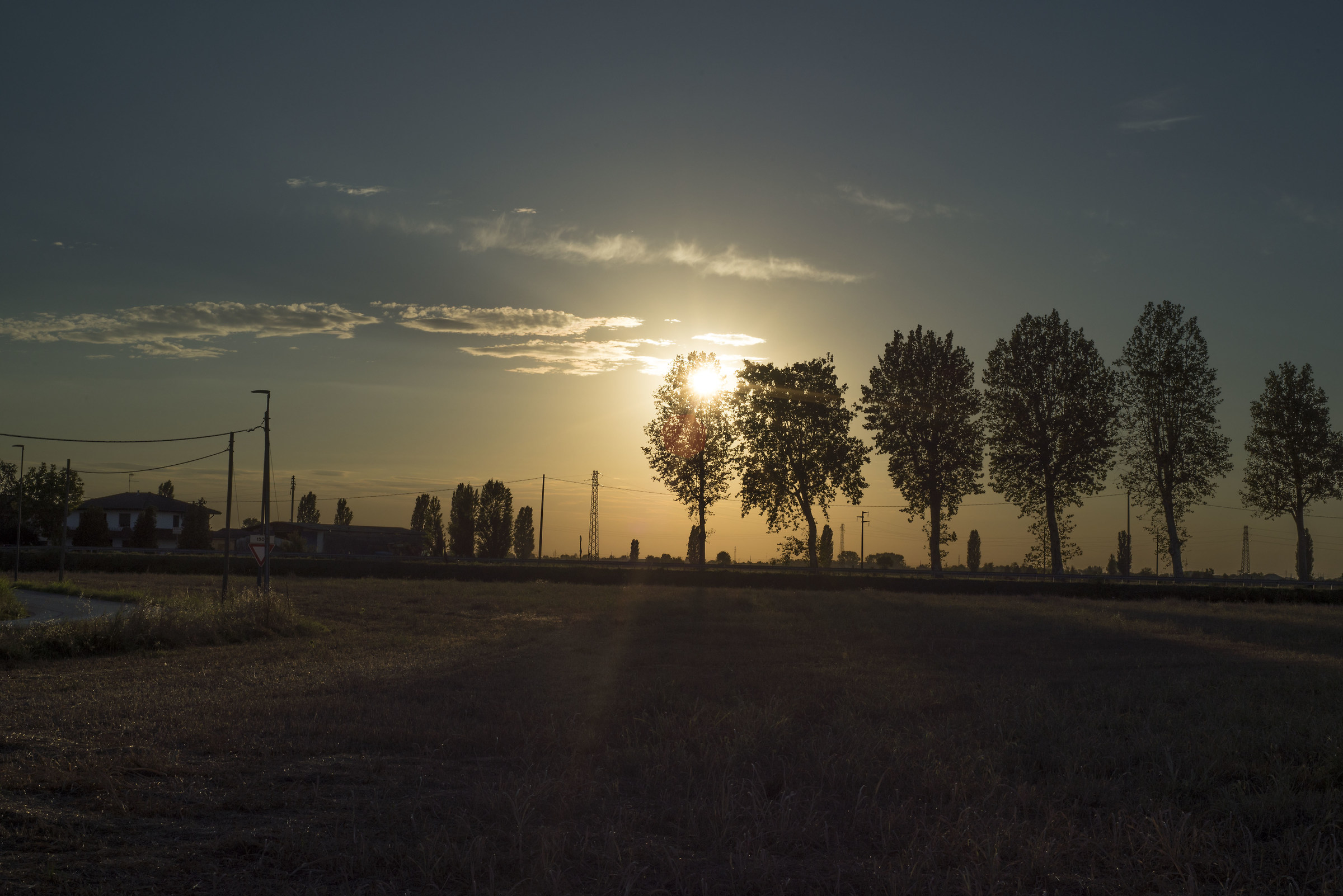 Tramonto su viale alberato