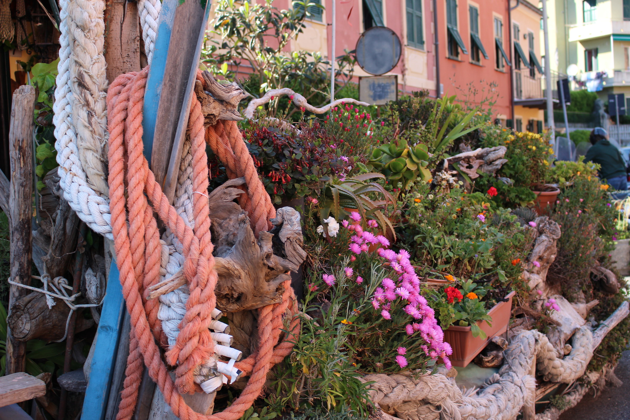 Chighizola between peaks and flowers