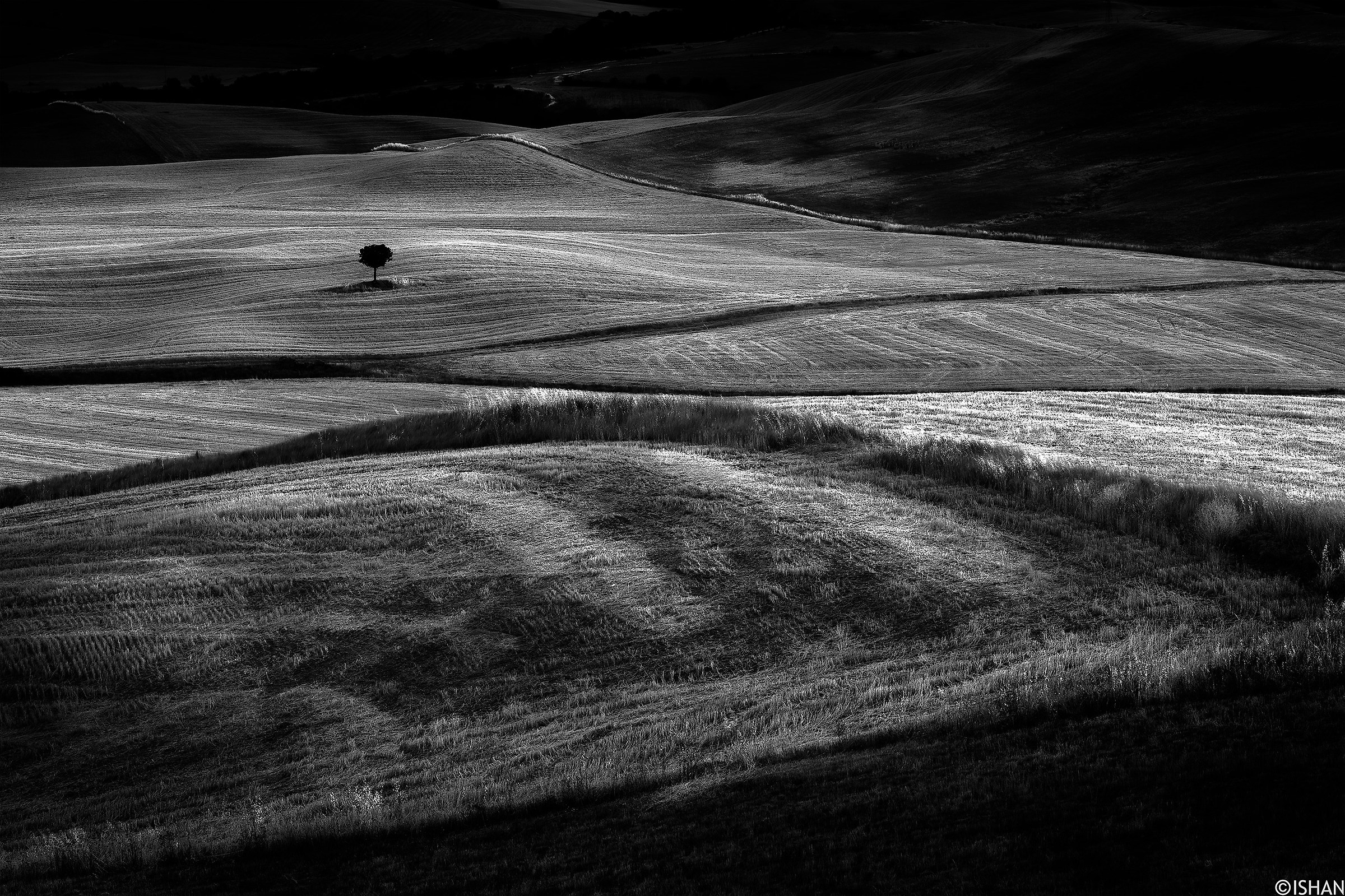 Waiting for a friend