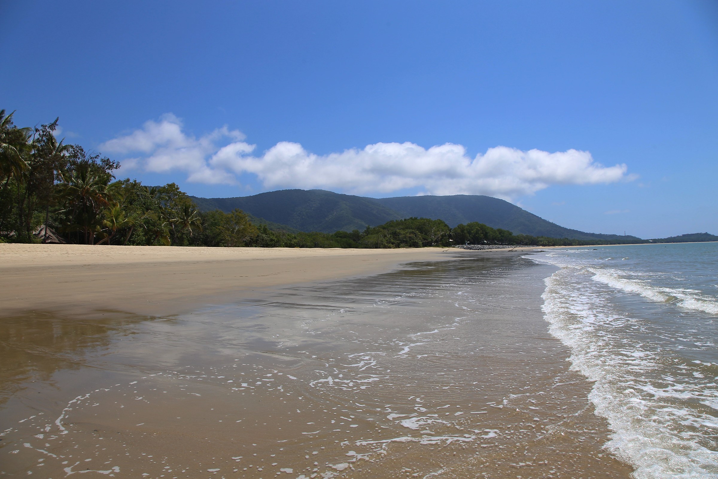 Le meraviglie dell'oceano