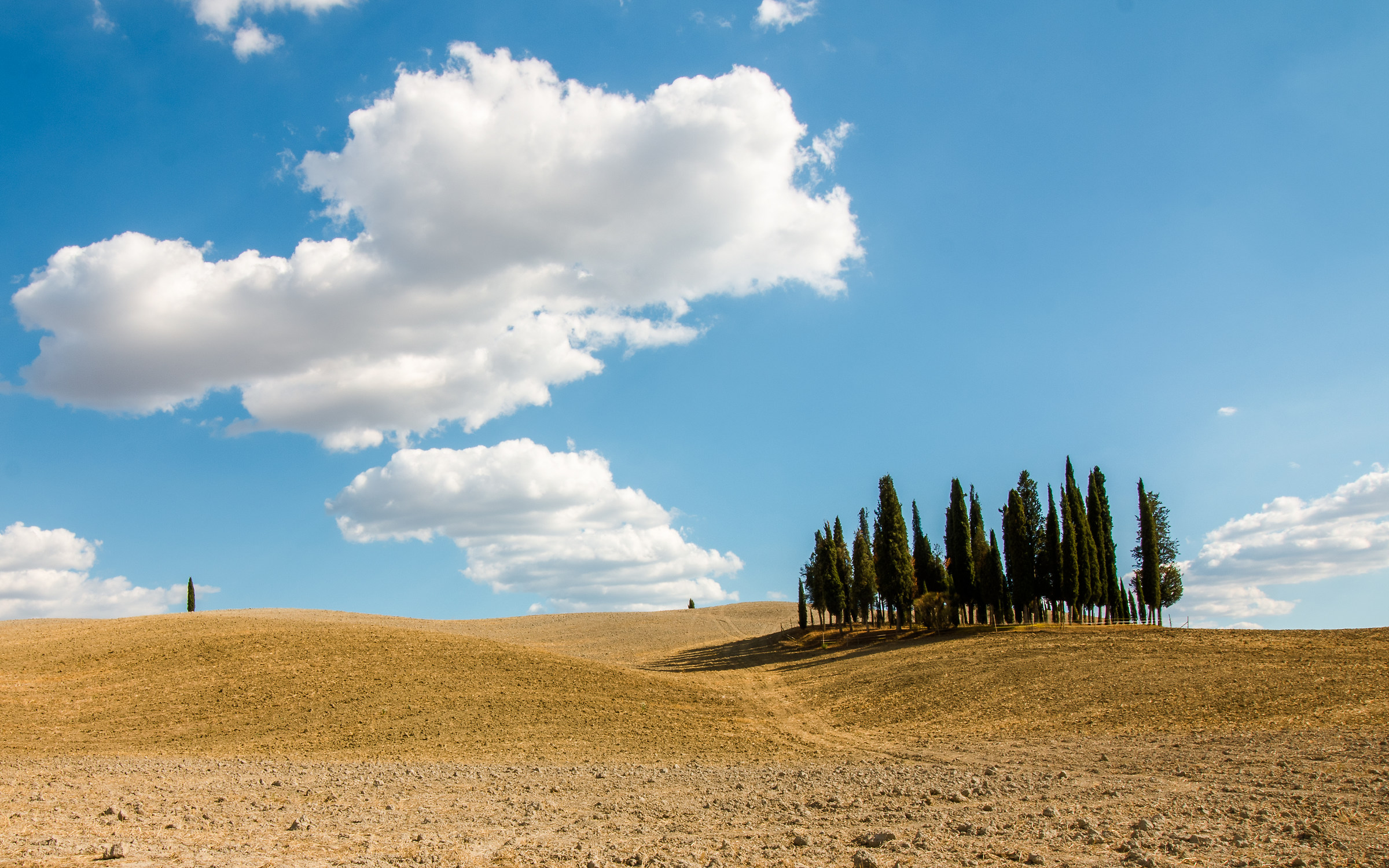 I cipressi di San Quirico