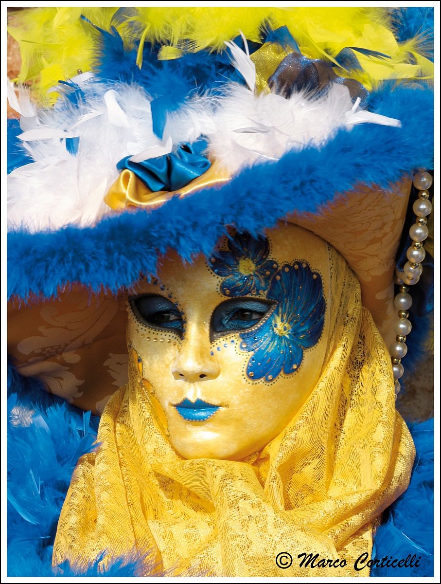 Carnival in Venice