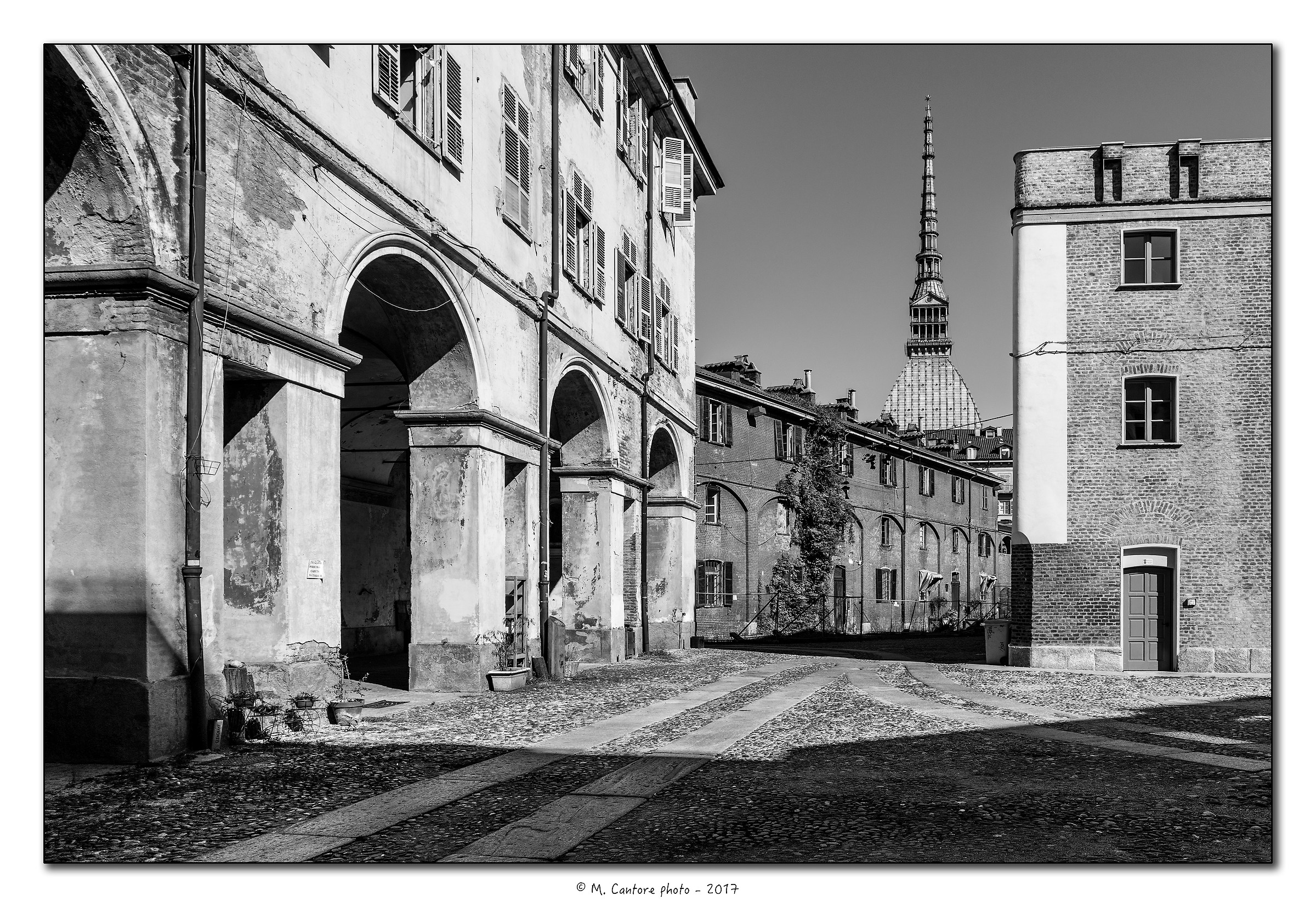 Cavallerizza Reale and the Mole Antonelliana