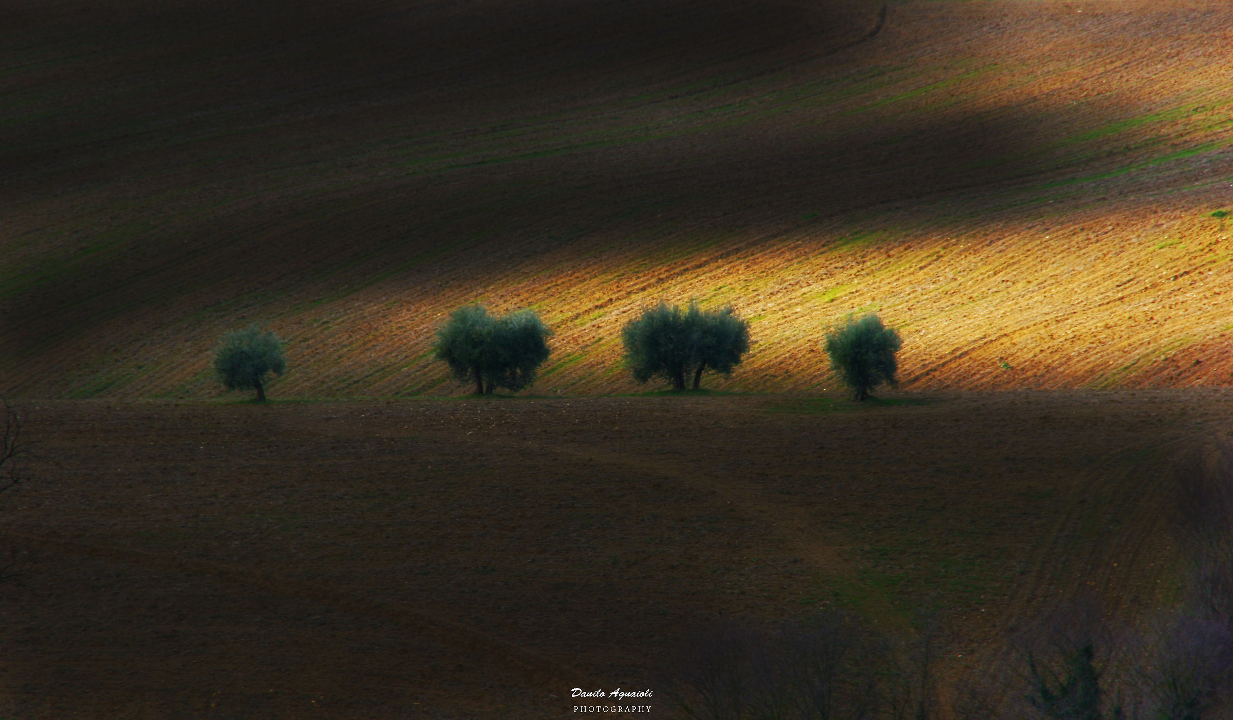 We Four Perugino Hills